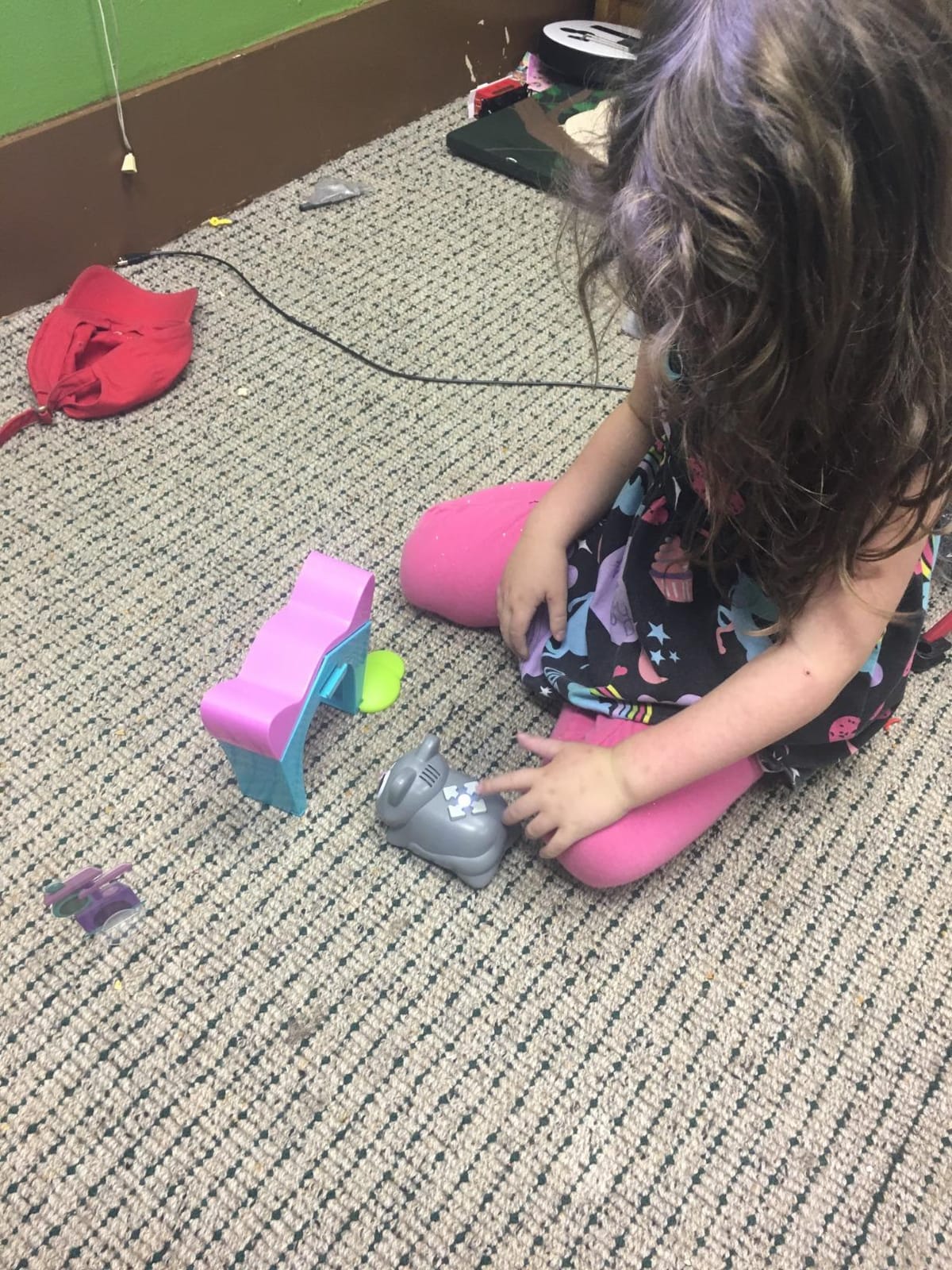 Learning Resources Coding Critters Scamper & Sneaker customer photo 1