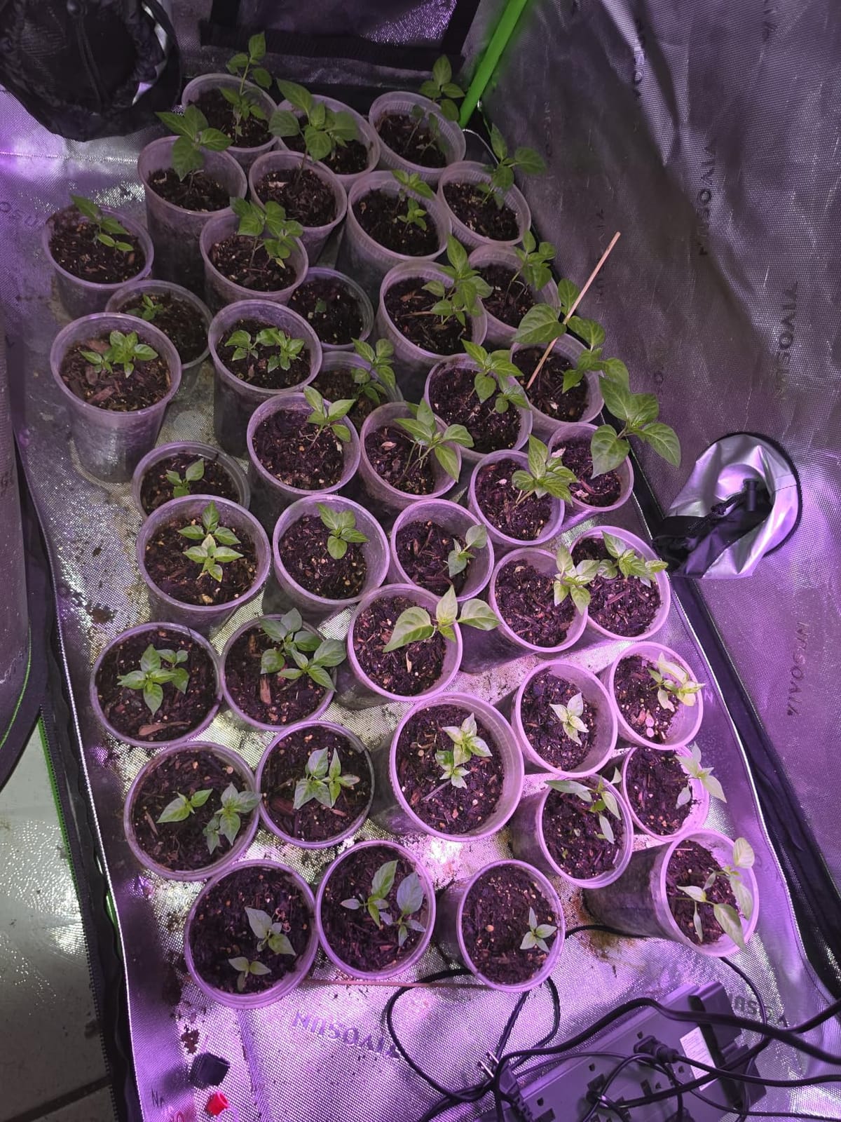 VIVOSUN S224 2x2 Grow Tent 24
