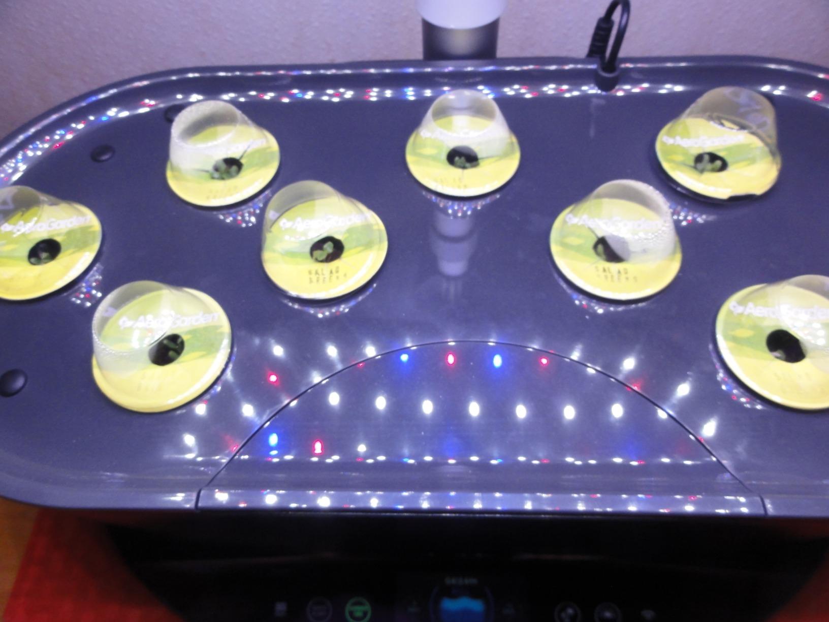 AeroGarden Bounty, White customer photo 2
