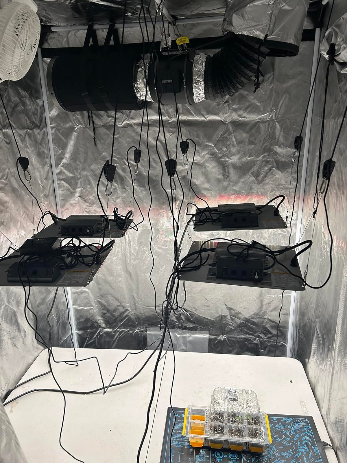 Spider Farmer SF1000 LED Grow Lights for Indoor Plants in 2x2/3x3 Grow Tent customer photo 2