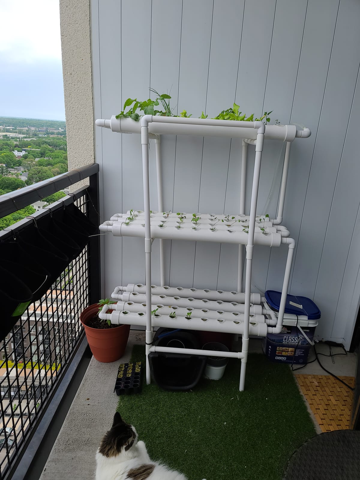 Hydroponic NFT 36 Holes Growing System with Special Fertilizer Timing Cycle, PVC Pipe Garden Plant Kit customer photo 1