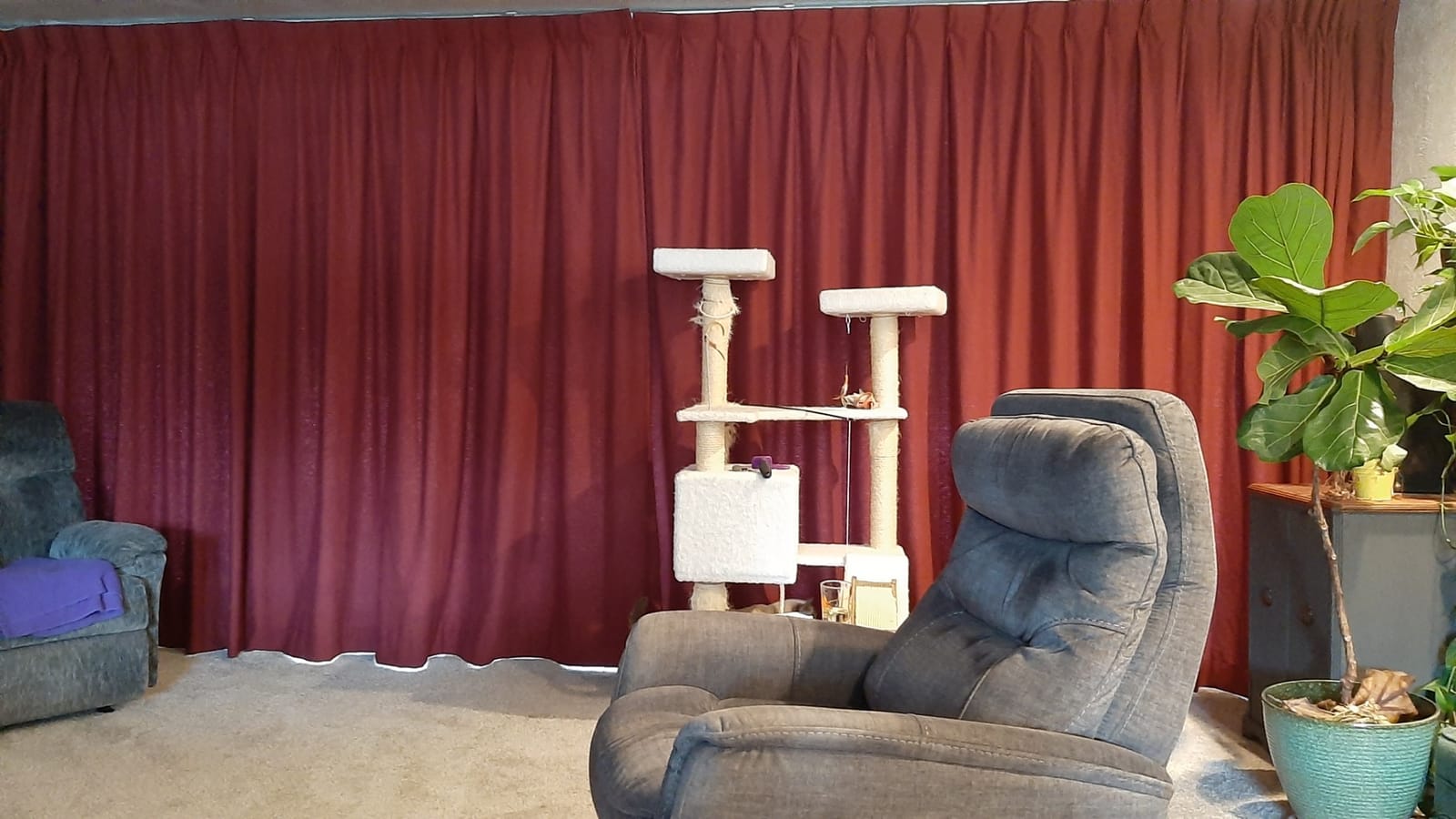 Quoya Smart Curtains System, Electric Curtain Track with Automated Rail Motor 【Motorized and Adjustable Tracks/Rod/Pole (up to 5.2 metres / 204 inches)】【WiFi Compatible with Alexa, Google, IFTTT】 customer photo 2