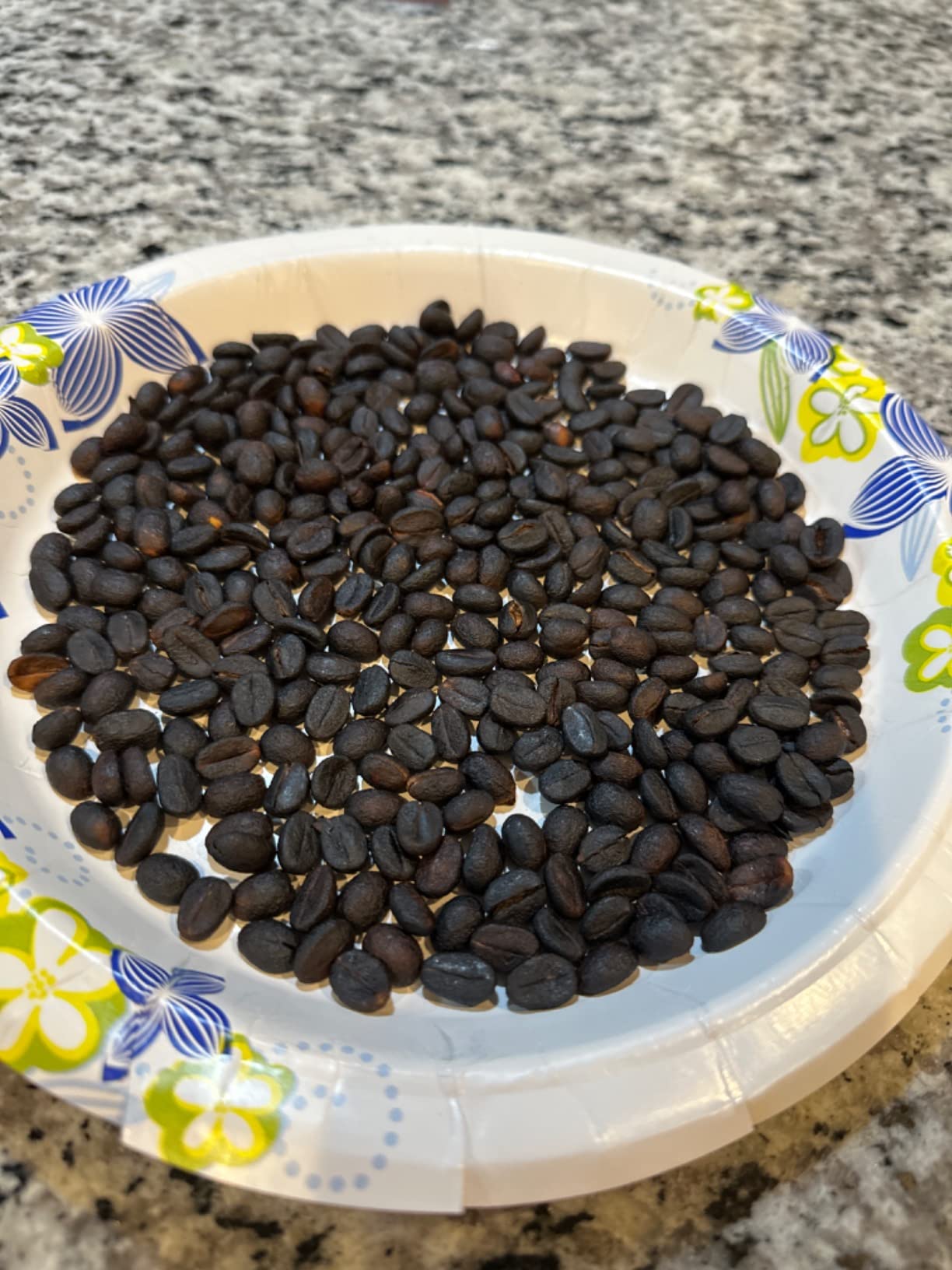 DIYAREA Coffee Roaster Machine for Home Use, 800g Capacity Electric Coffee Bean Roaster Machine with Timer 0-240℃ Non-Stick for Cafe Shop, Nut, Peanut, Black Bean, Soybeans 110V 1200W customer photo 1