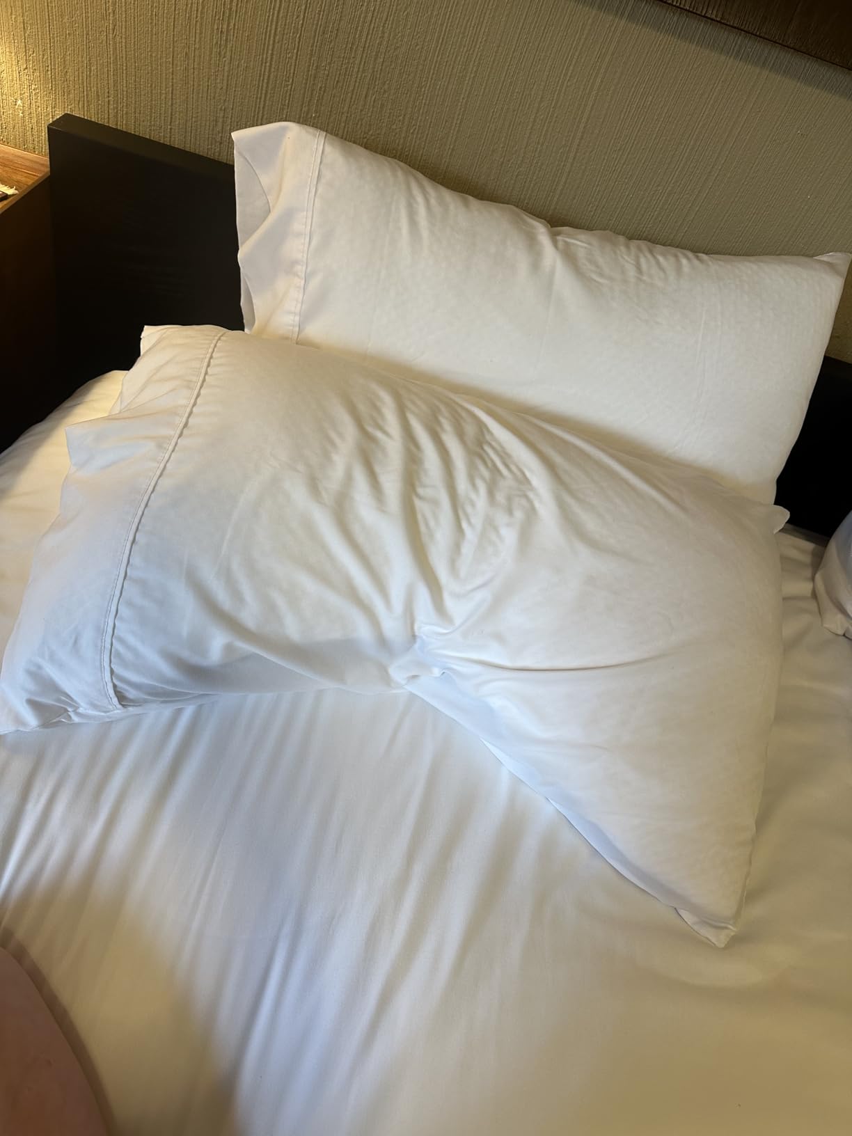 Eli & Elm Best Ergonomic Side Sleeper Pillow for Neck Pain. Supportive Cooling Latex Fill with Luxury Breathable Cover. U-Shape Contoured Design. Queen Size Bed Pillow - 17
