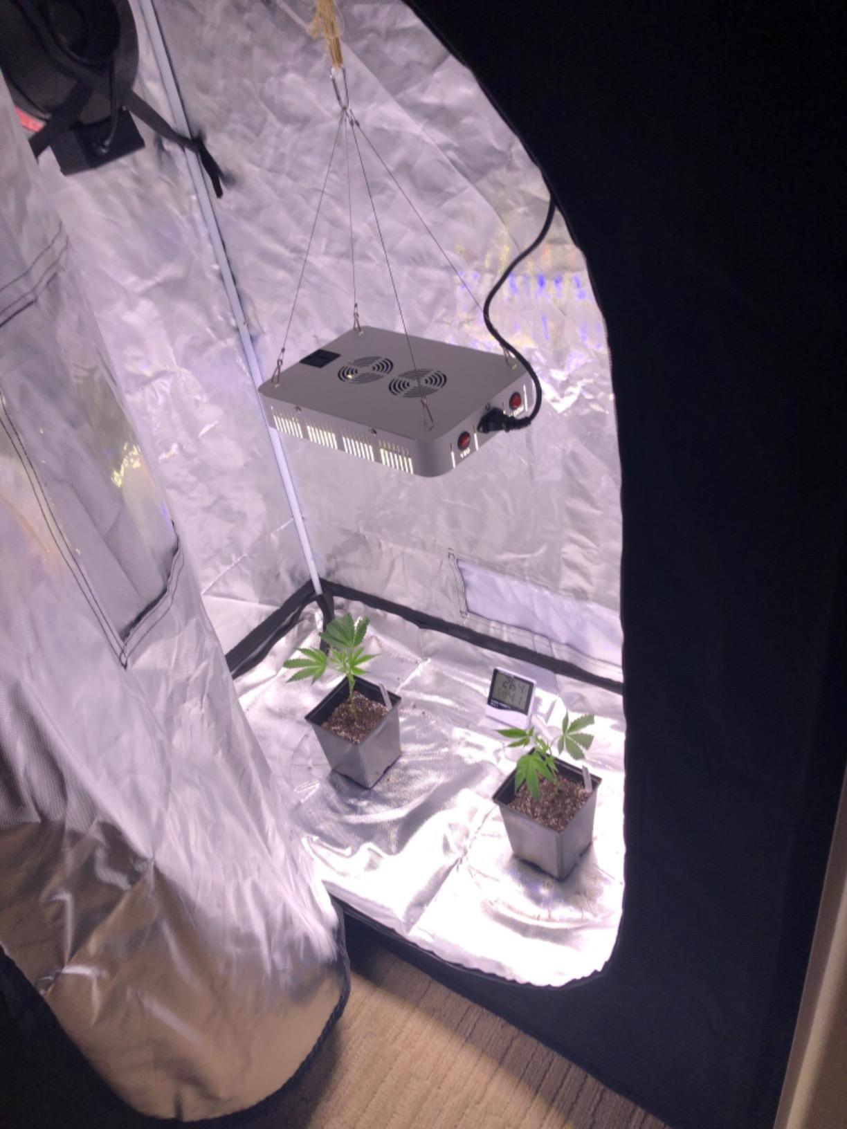 Grow Tent Kit Complete 4X2X6 FT (Heigth Increase),S100 LED Grow Light GrowTent Complete System with Clip Fan+LED Light+Grow Tent+Humidifier+Clip Fan+Drip Kit+Heater+4