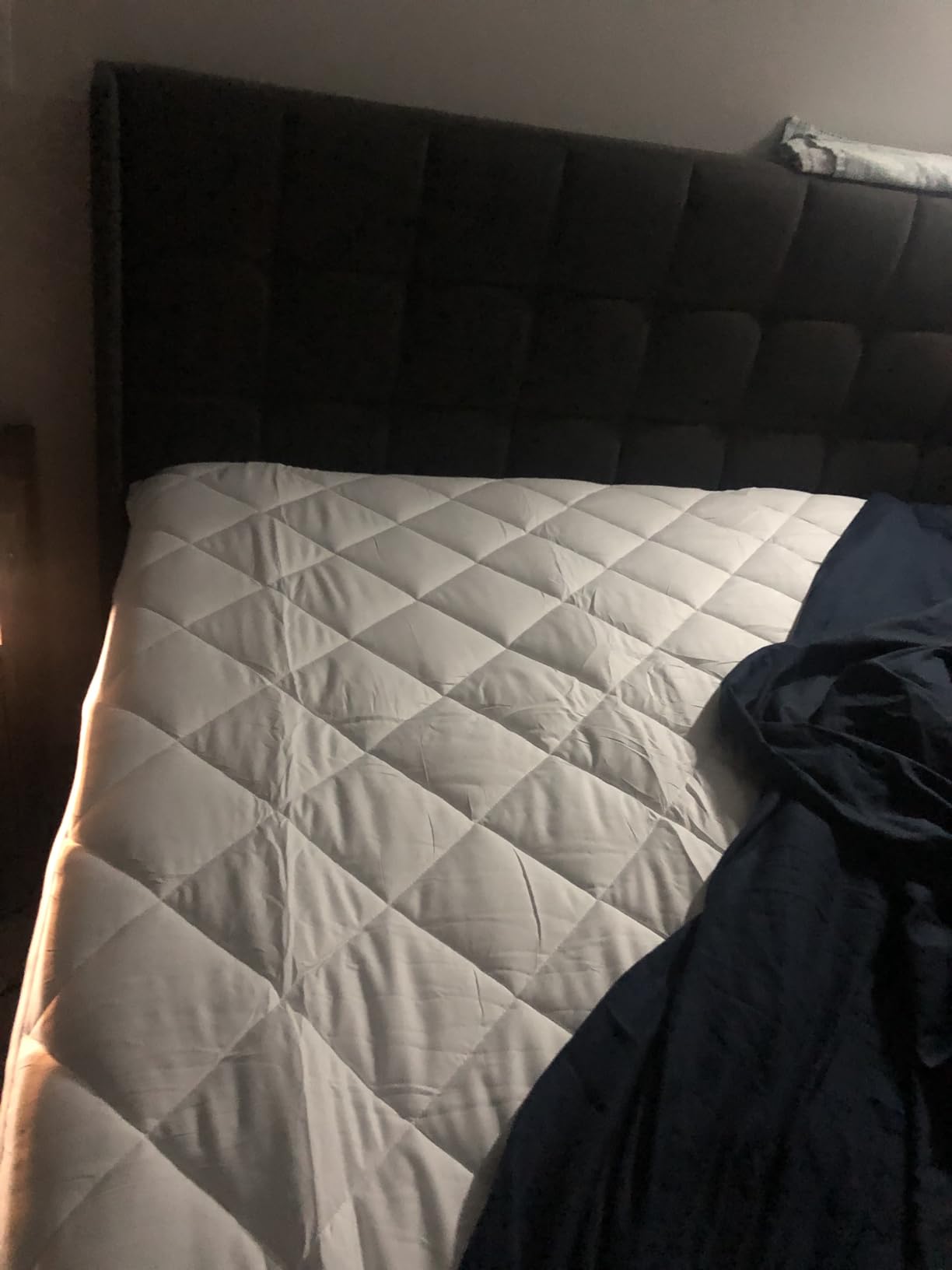 Taupiri Queen Quilted Mattress Pad Cover with Deep Pocket (8
