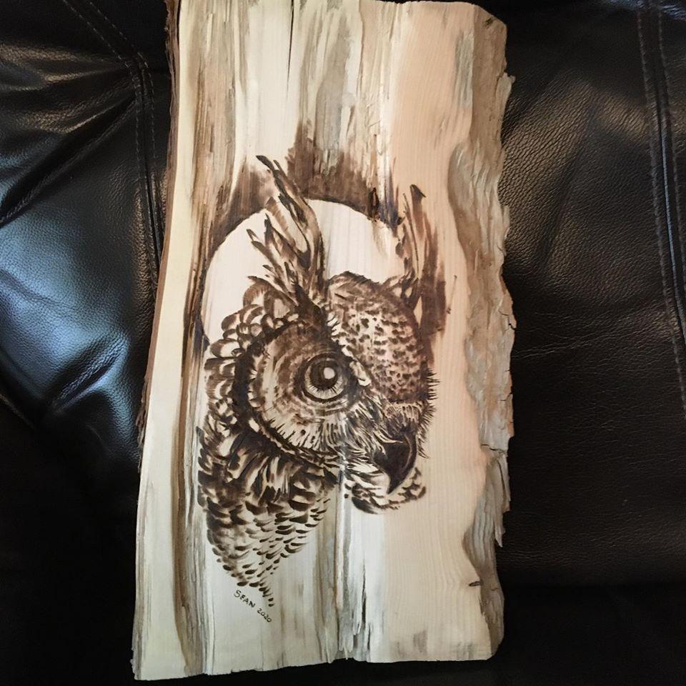 Tekchic 60W Wood Burning Kit, Pyrography Tool with 20 Wire Tips customer photo 1