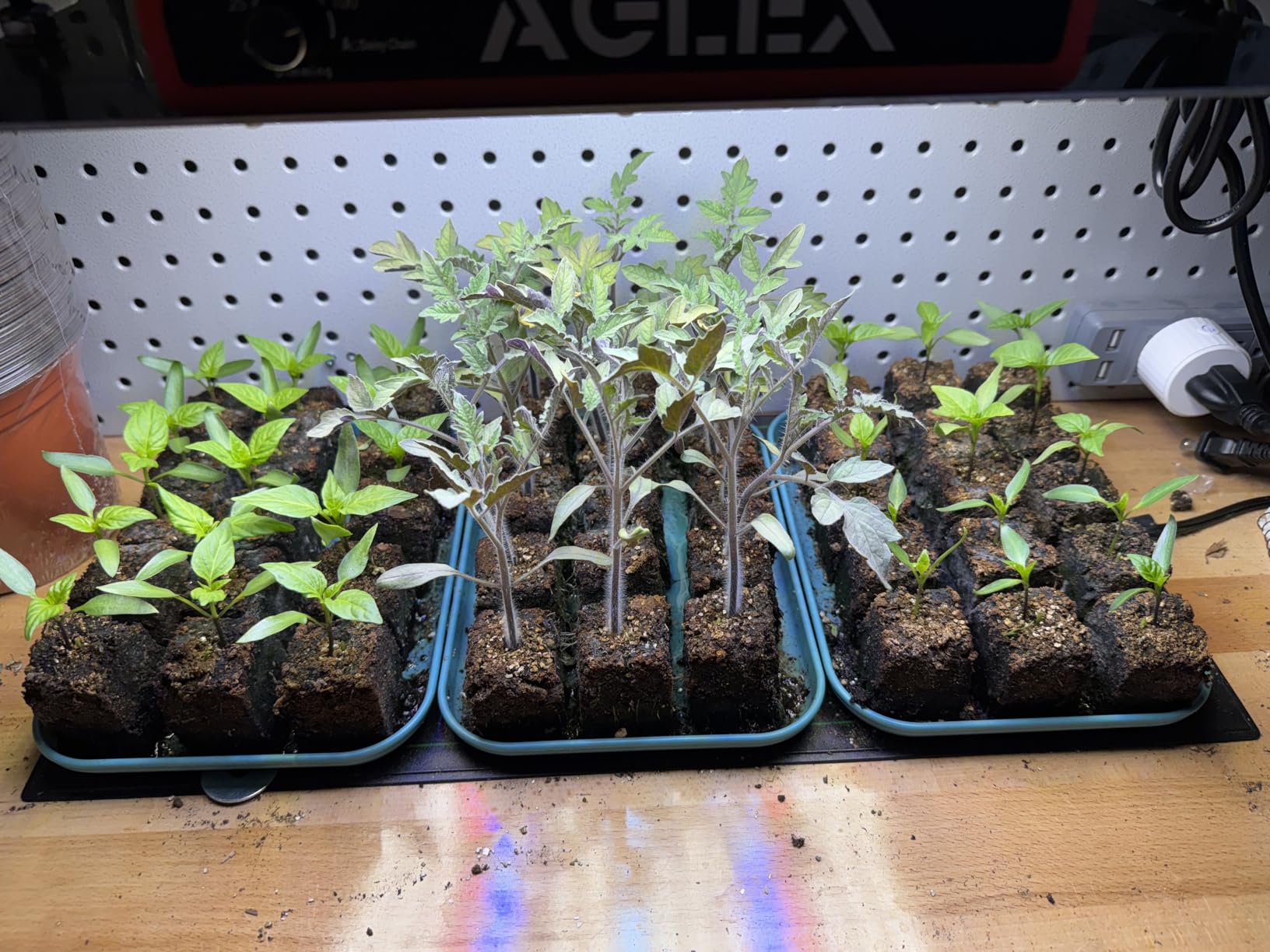 AGLEX K1000 LED Grow Light, Grow Light with Daisy Chain & Dimmable, Full Spectrum Plant Grow Lights for Hydroponic Indoor Plants Seeding customer photo 1