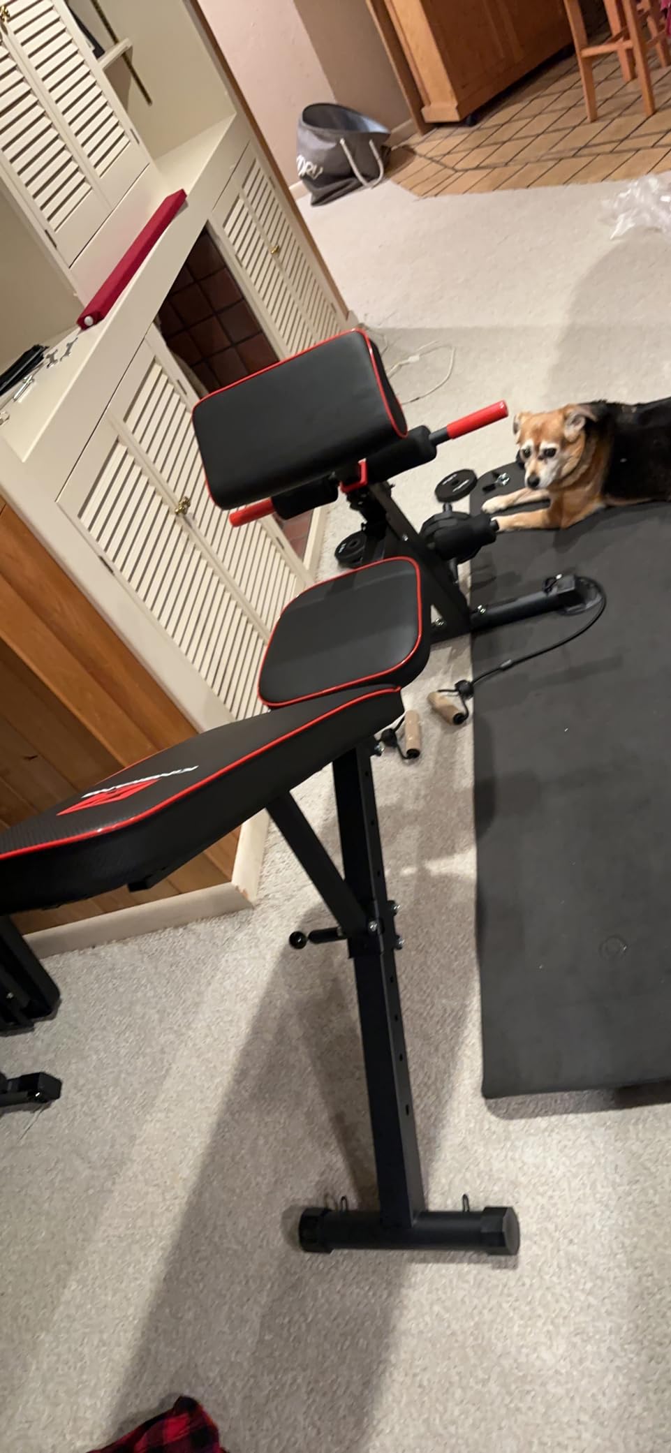 K KiNGKANG Adjustable Weight Bench, Foldable Home Gym, 1050lbs Capacity customer photo 1