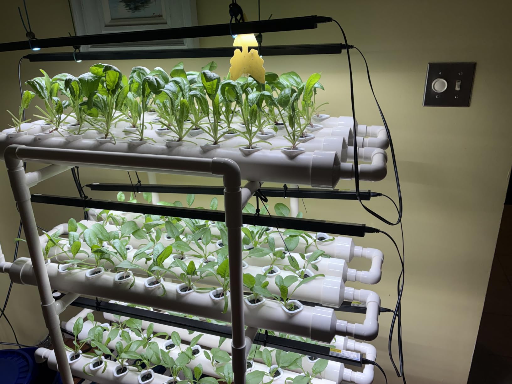 VIVOSUN Hydroponic Grow Kit, 1 Layer 36 Plant Sites 4 Food-Grade PVC-U Pipes Hydroponics Planting System with Water Pump, Pump Timer, Nest Basket and Sponge for Leafy Vegetables customer photo 1