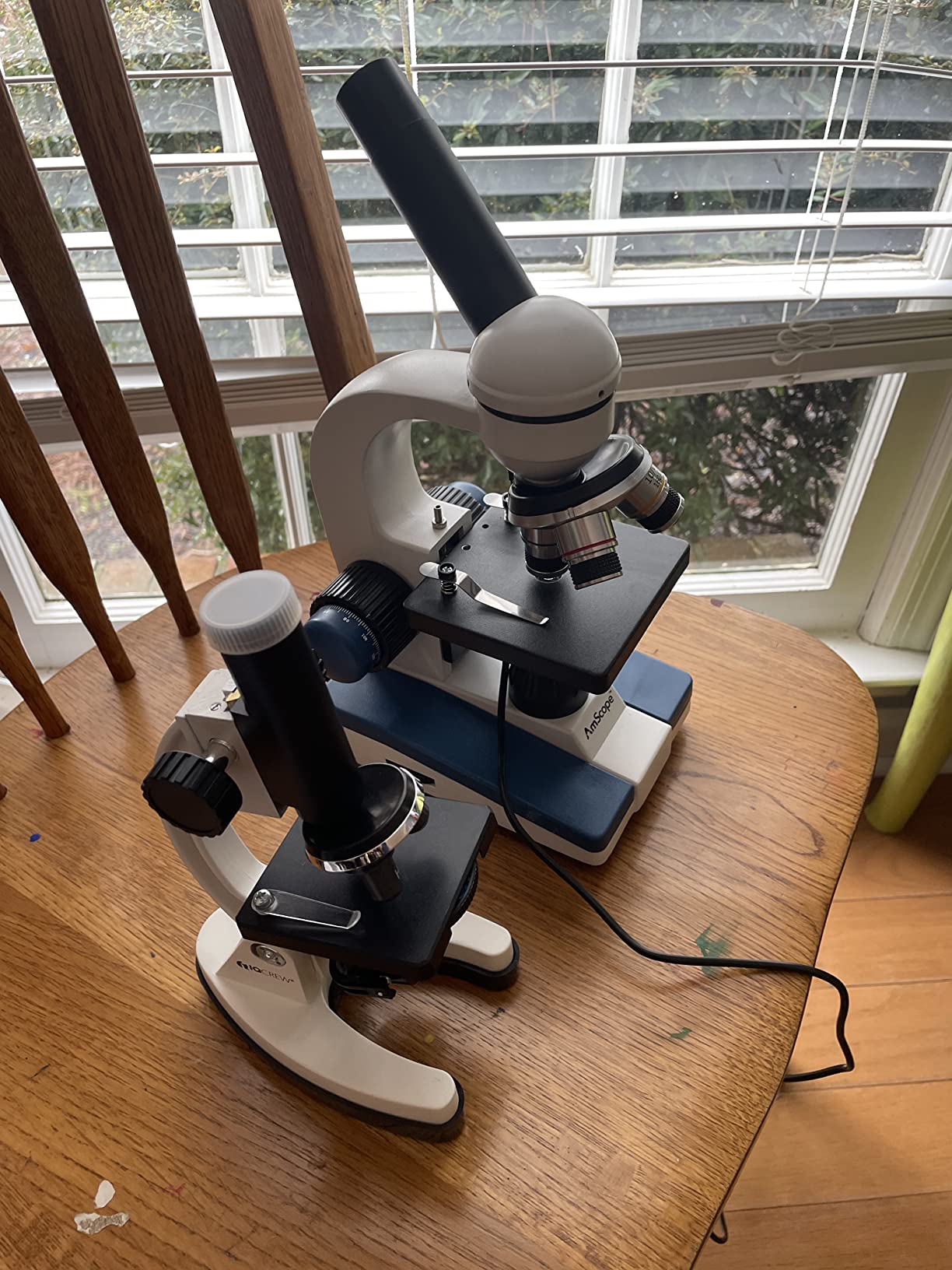 AmScope M40-K-MDM35 1200X Monocular Compound Microscope Digital Camera Kit customer photo 1