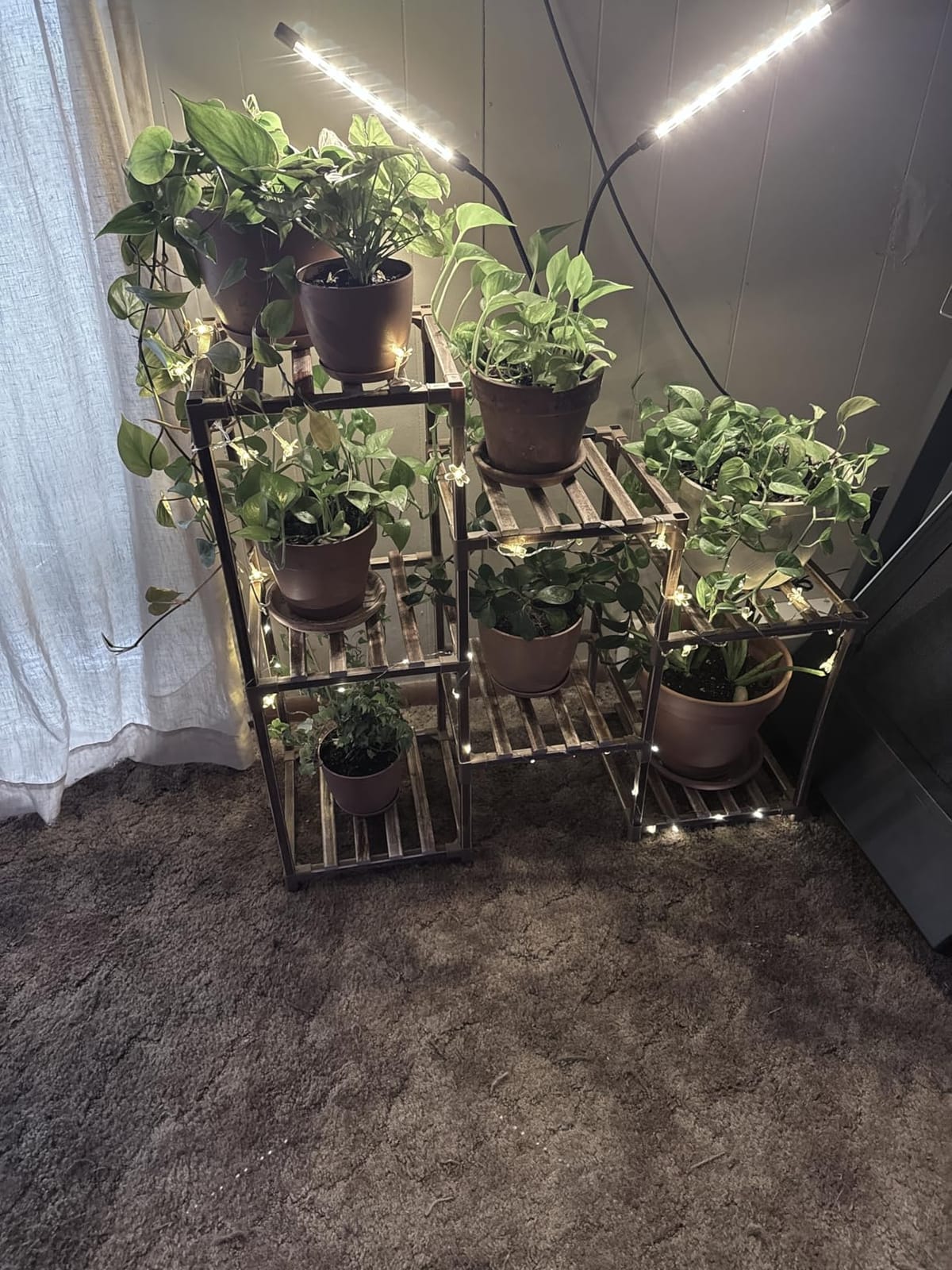 bseah Grow Light Plant Lights for Indoor Plants, Full Spectrum Plant Grow Lamp, 10 Dimmable Levels, Auto ON & Off with 3/9/12H Timer customer photo 1