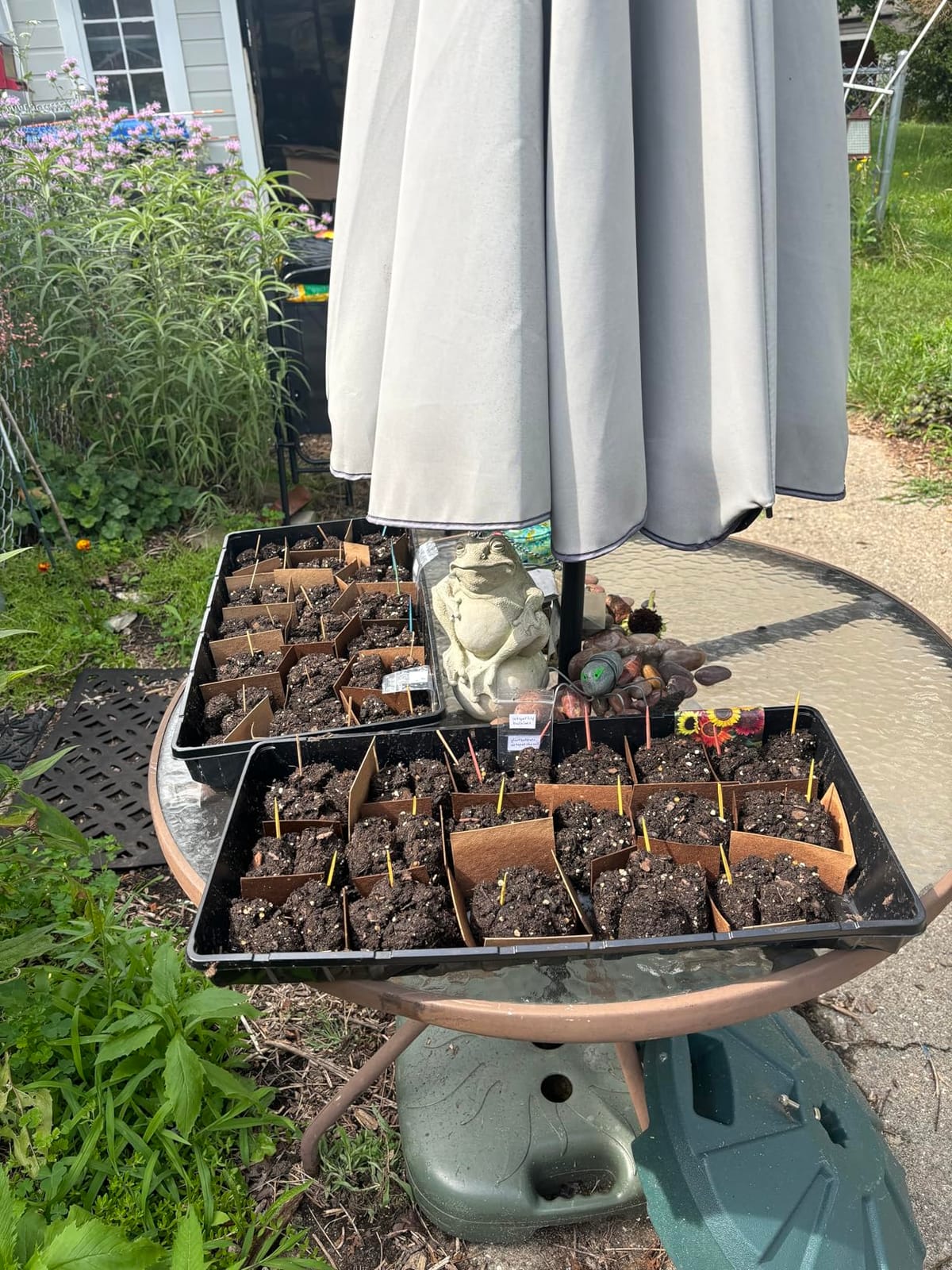Fiskars Garden Soil Block Maker for Plant Seeds with Natural Air Pruning customer photo 2