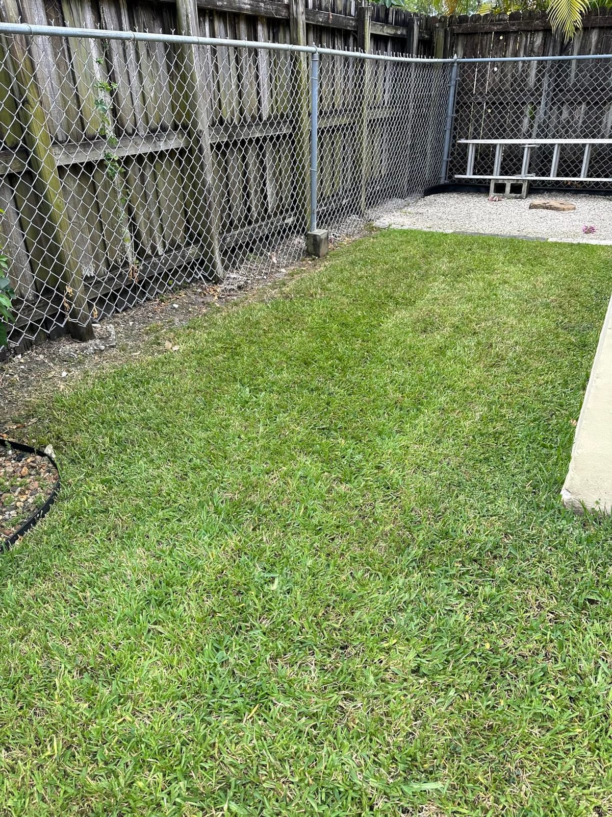 Greenworks 40V 19in Push Lawn Mower, 4.0 Ah Battery and Charger customer photo 2
