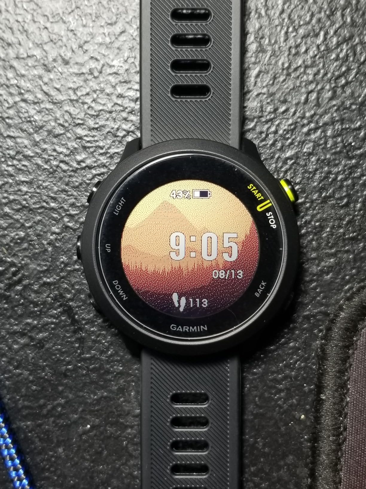 Garmin Forerunner 55, GPS Running Watch with Daily Suggested Workouts, Up to 2 Weeks of Battery Life, Aqua customer photo 2