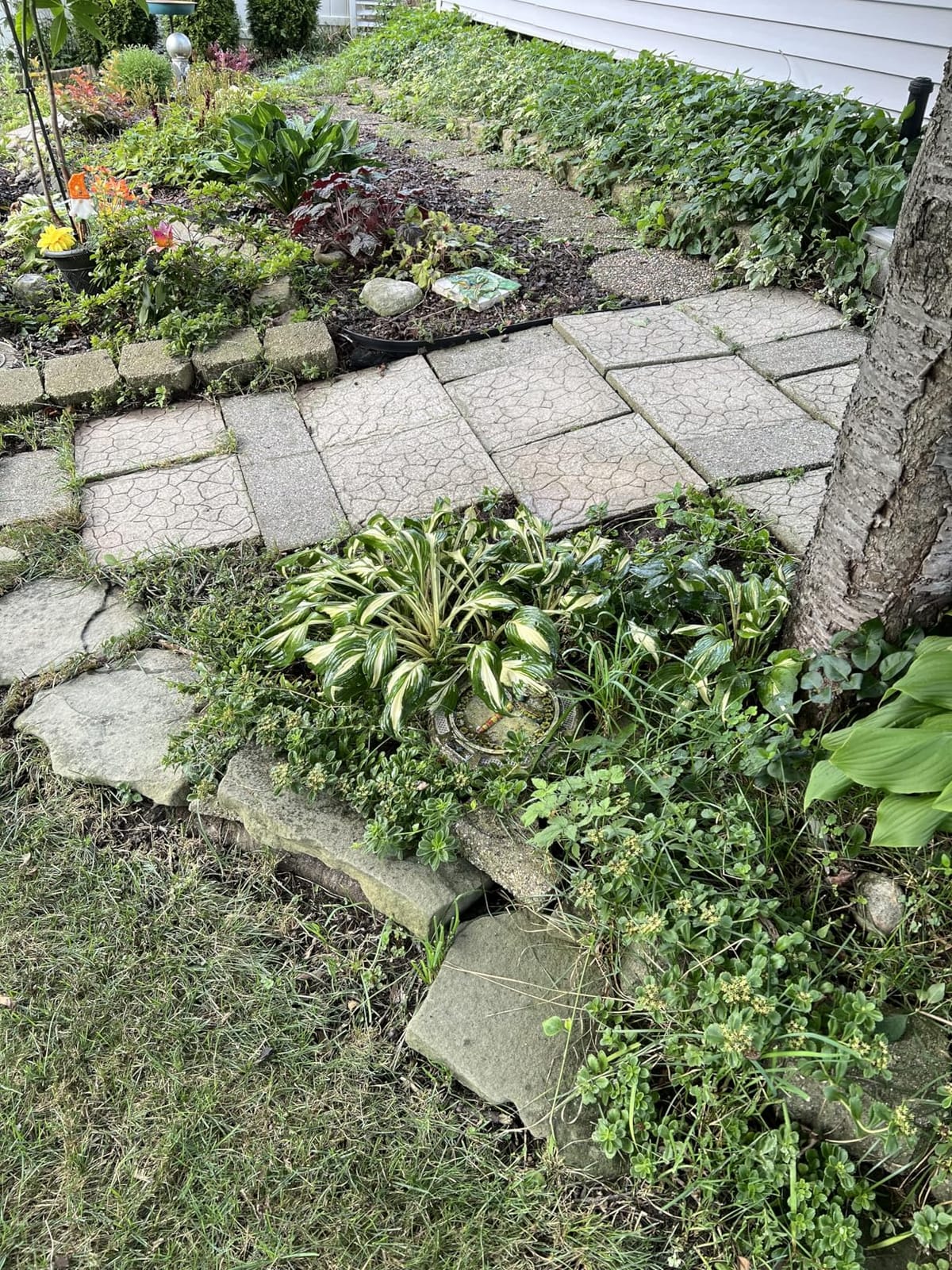 Greenworks 2000 PSI (1.2 GPM) Electric Pressure Washer customer photo 2