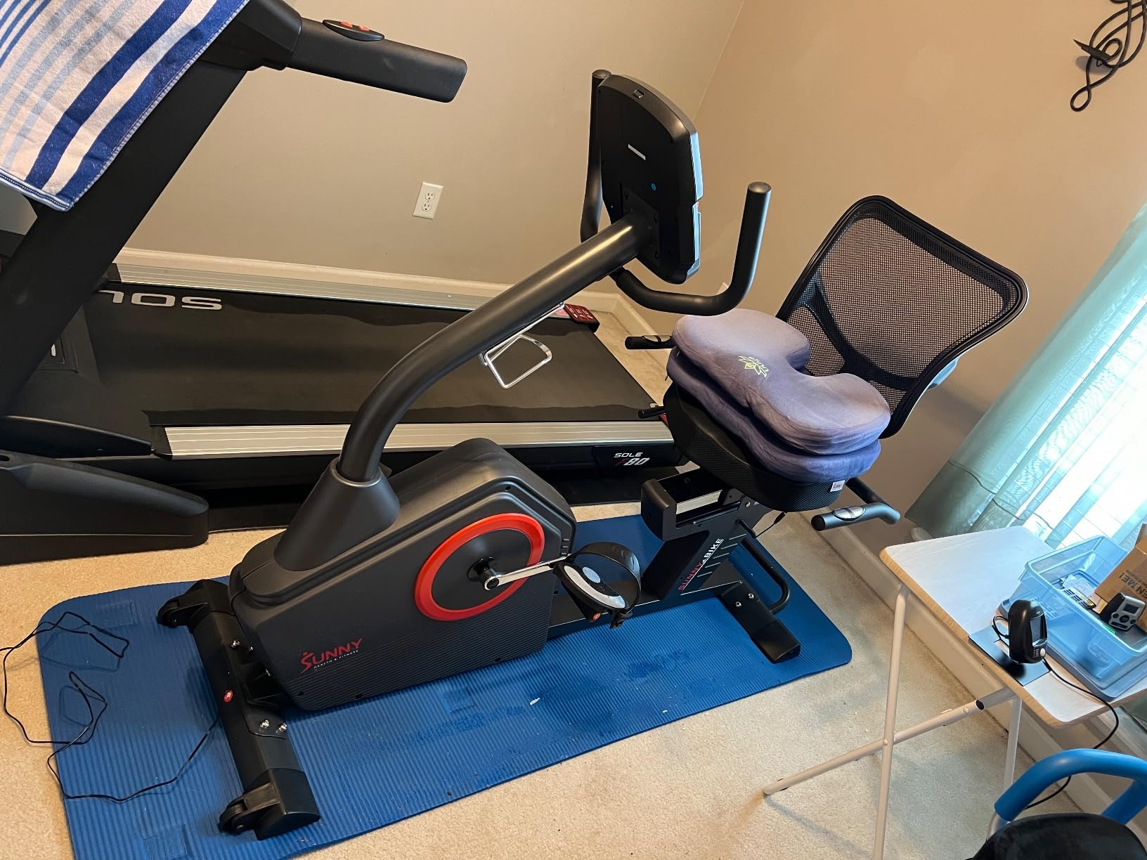 Sunny Health & Fitness Smart Recumbent Bike for Indoor Low Impact Cardio customer photo 1