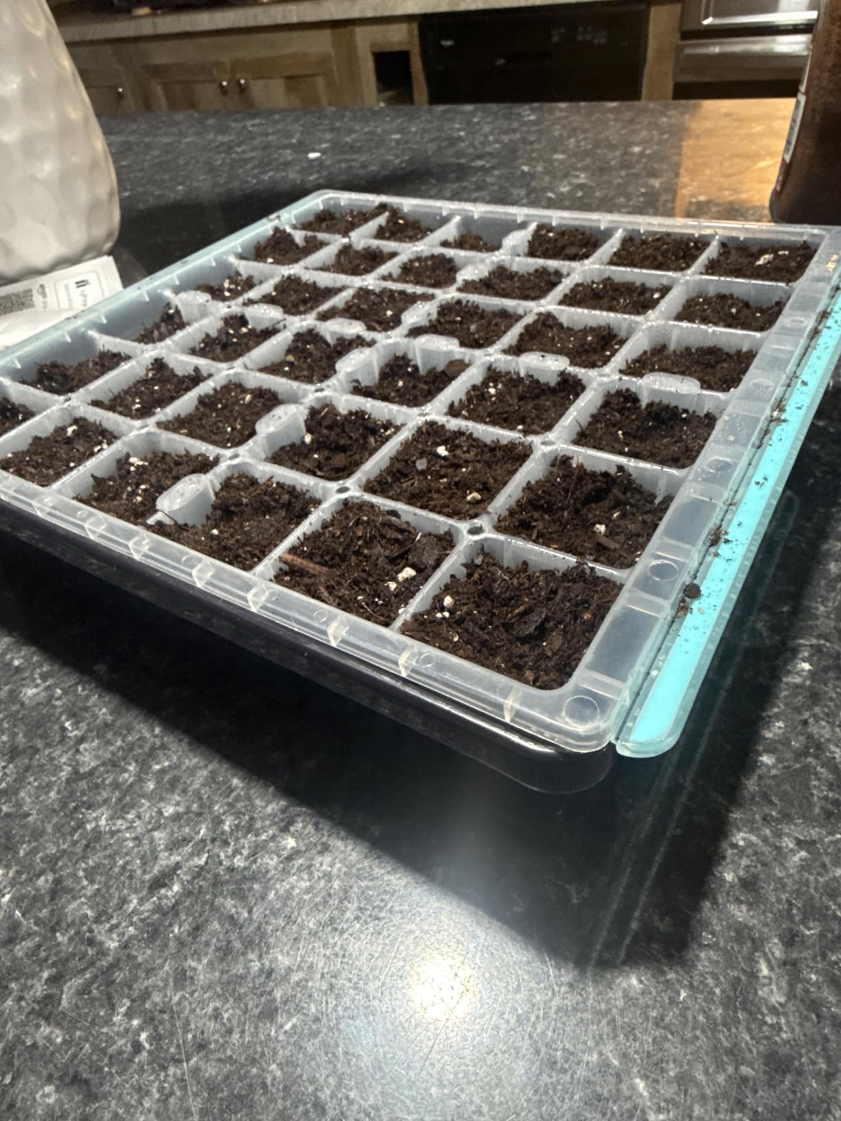 Burpee SuperSeed Windowsill Seed Starting Tray | 8 XL Cell | Seed Starter Tray | Reusable & Dishwasher Safe | Window Garden Starting Kit | Orange customer photo 1