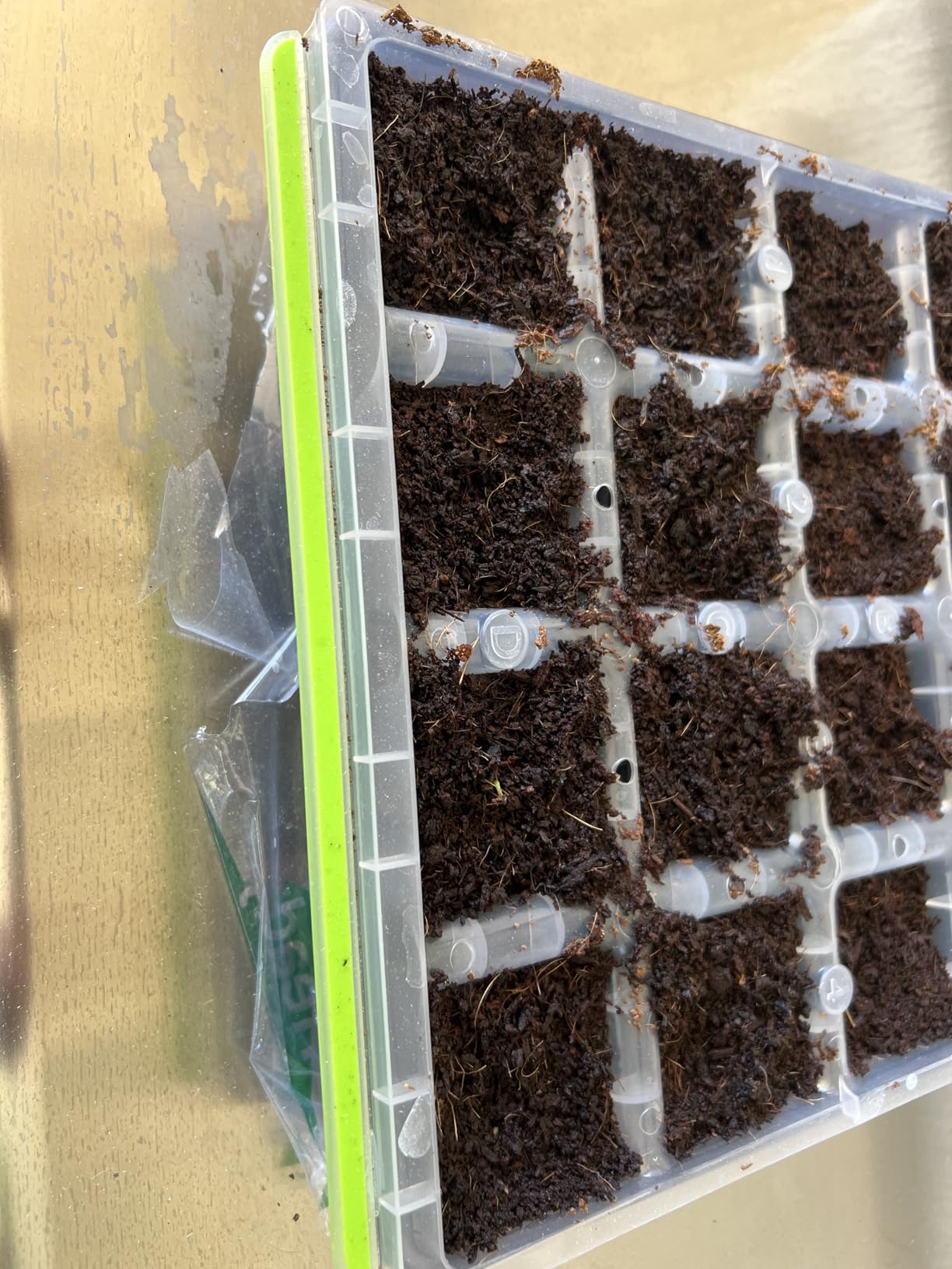 Burpee SuperSeed Windowsill Seed Starting Tray | 8 XL Cell | Seed Starter Tray | Reusable & Dishwasher Safe | Window Garden Starting Kit | Orange customer photo 2