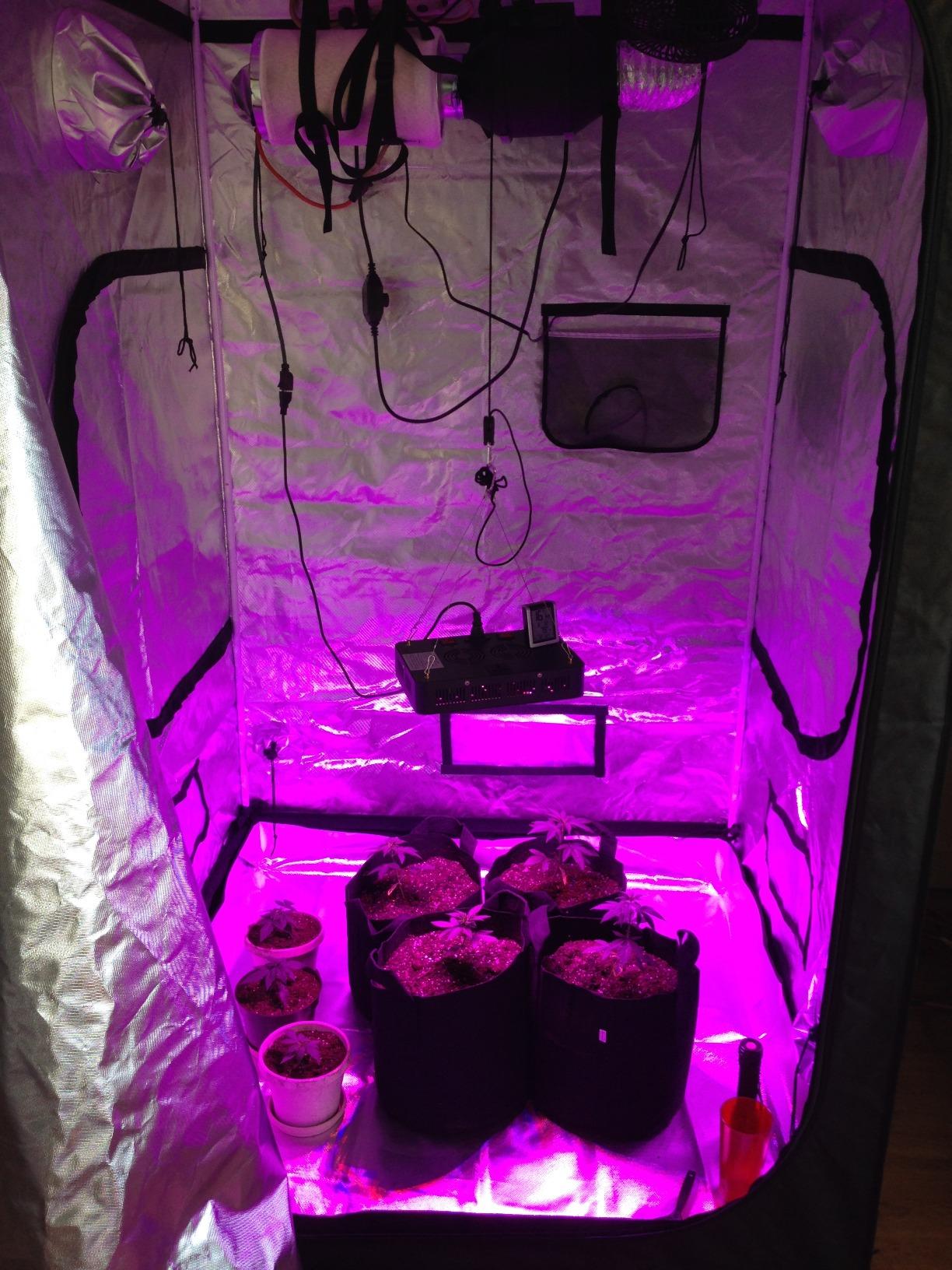 2x2 Grow Tent 24