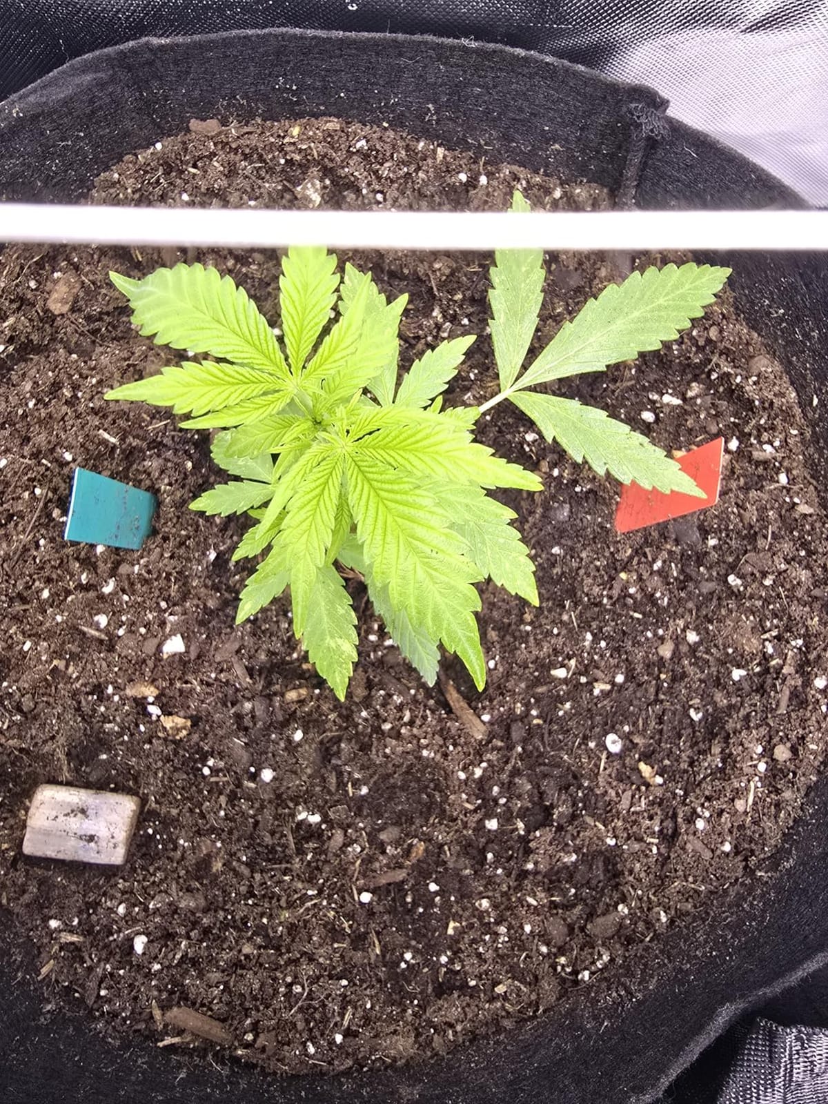 Complete Mylar Growing Tent 2x2 Grow Tent Kit 24