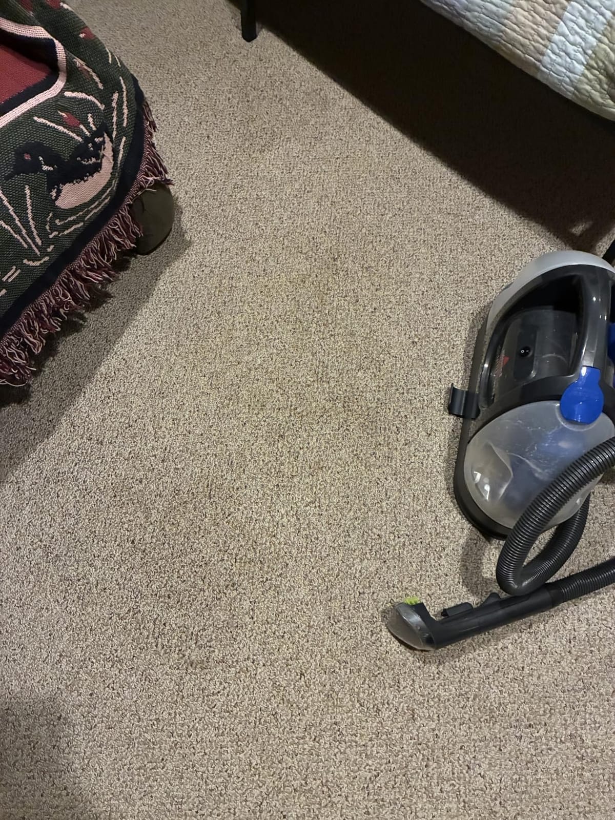 BISSELL Little Green Pet Deluxe Portable Carpet Cleaner, 3353 customer photo 1