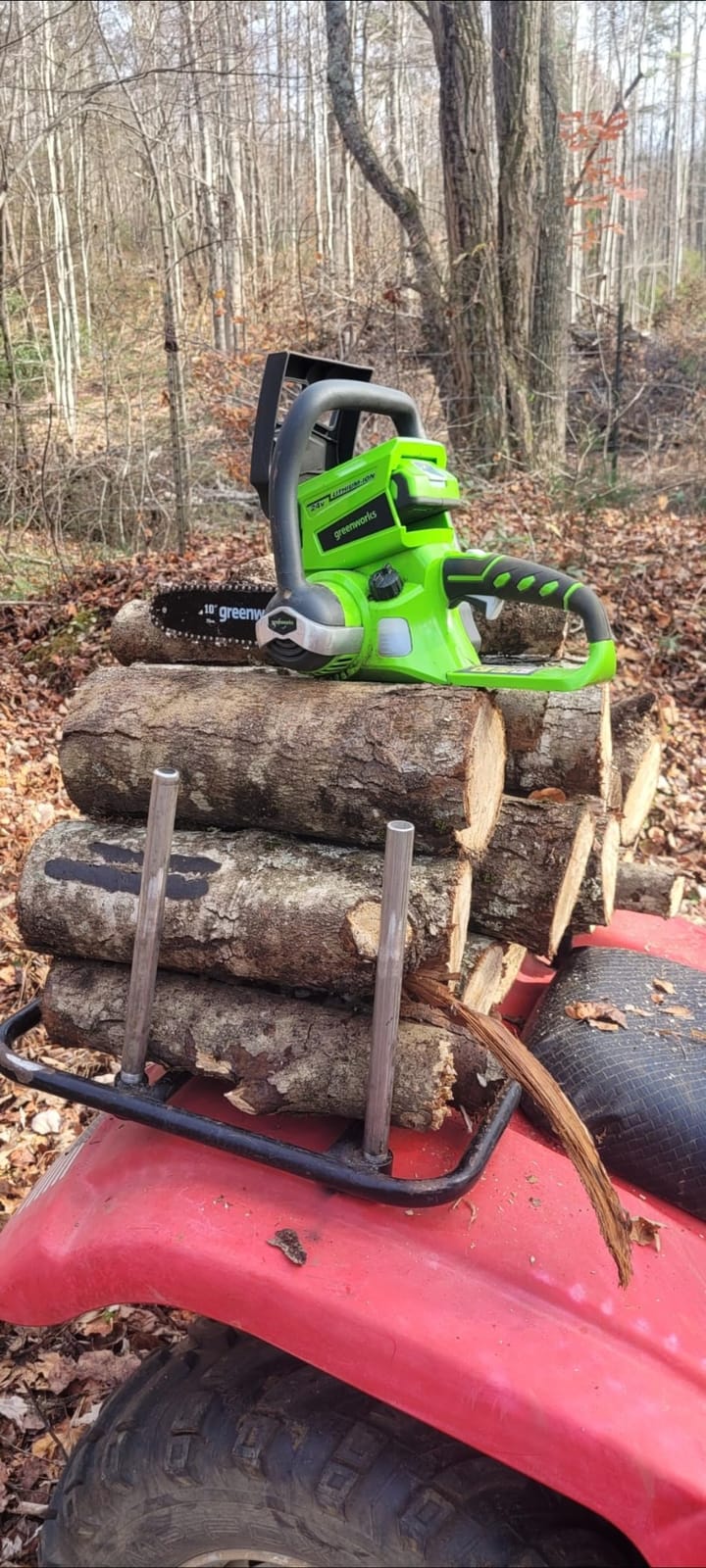 Greenworks 40V 12 in Cordless Electric Chainsaw, 2.0 Ah Battery and Charger customer photo 2