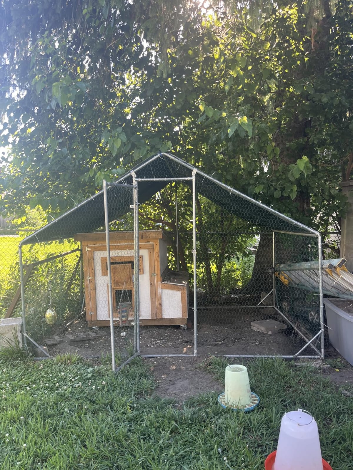 4ever2buy Metal Chicken Coop, 9.8x6.6 FT Walk-in Chicken Run Pen Poultry Cage, Water-Resistant & Anti-UV Cover, Large Chicken Coop for 6-8 Chickens customer photo 1