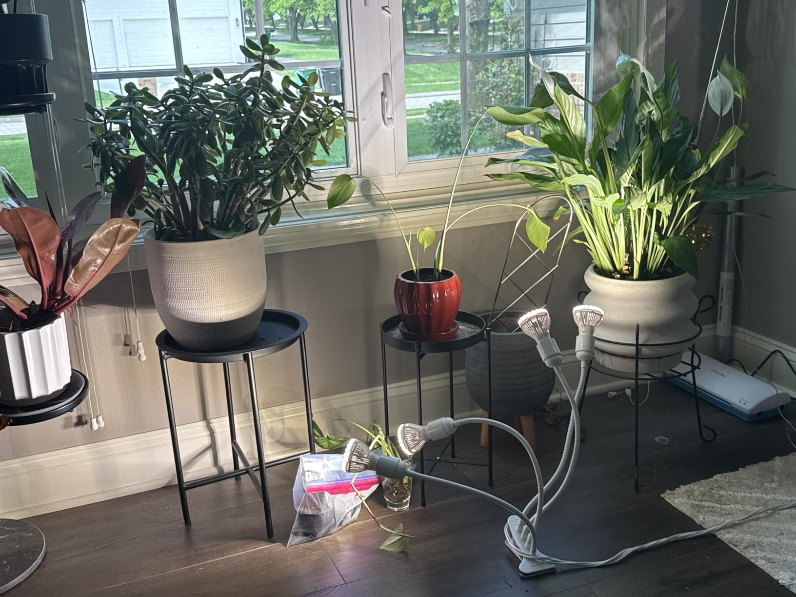 SANSI Grow Lights for Indoor Plants, 20W Clip-On Gooseneck LED Plant Lights customer photo 2