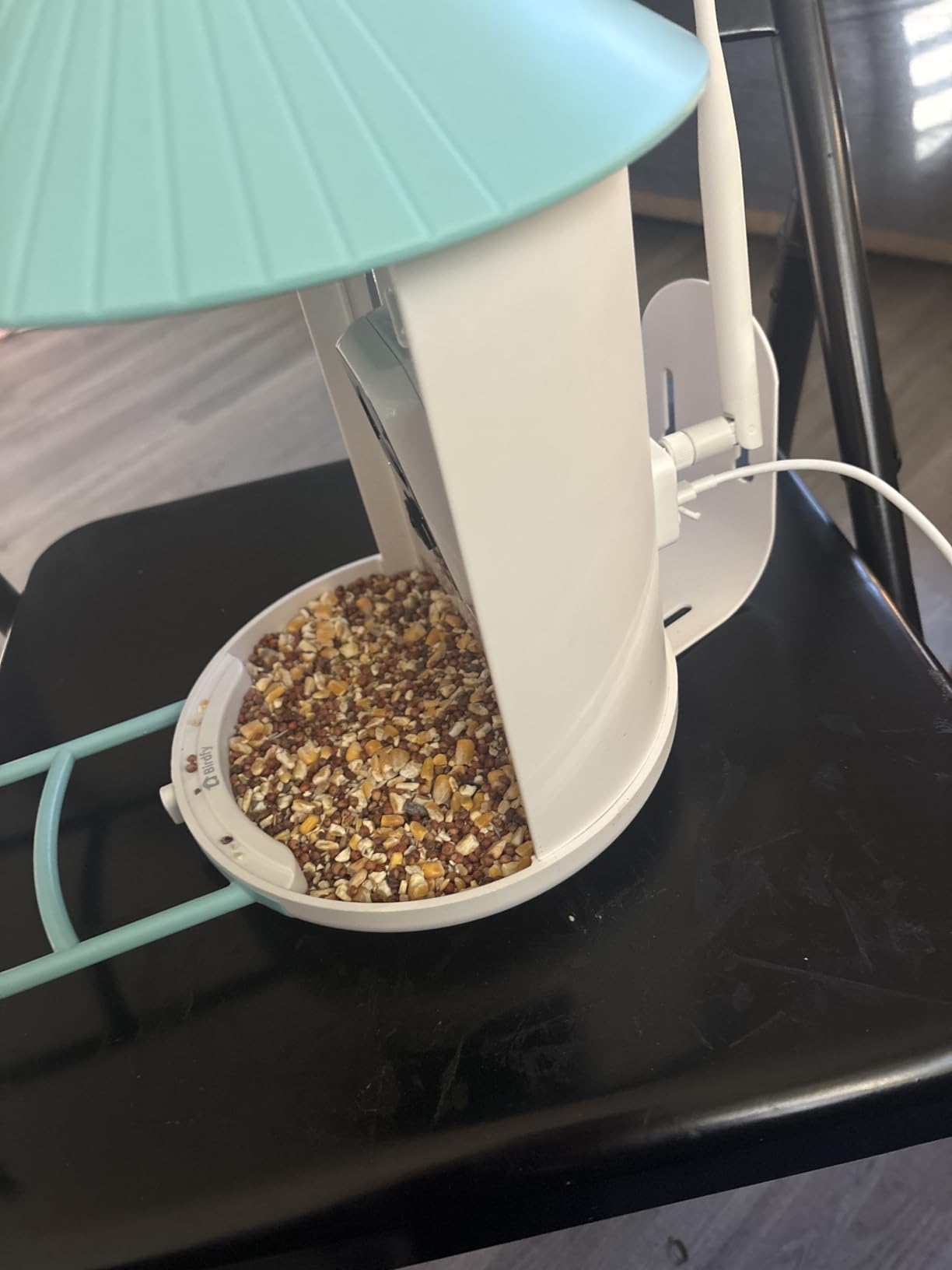 NETVUE by Birdfy Smart Bird Feeder with 2K AI Camera customer photo 2