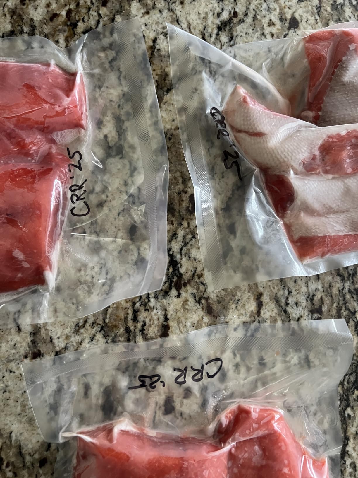 VEVOR Chamber Vacuum Sealer 260W Sealing Power 10.2 Inch Sealing Length customer photo 1