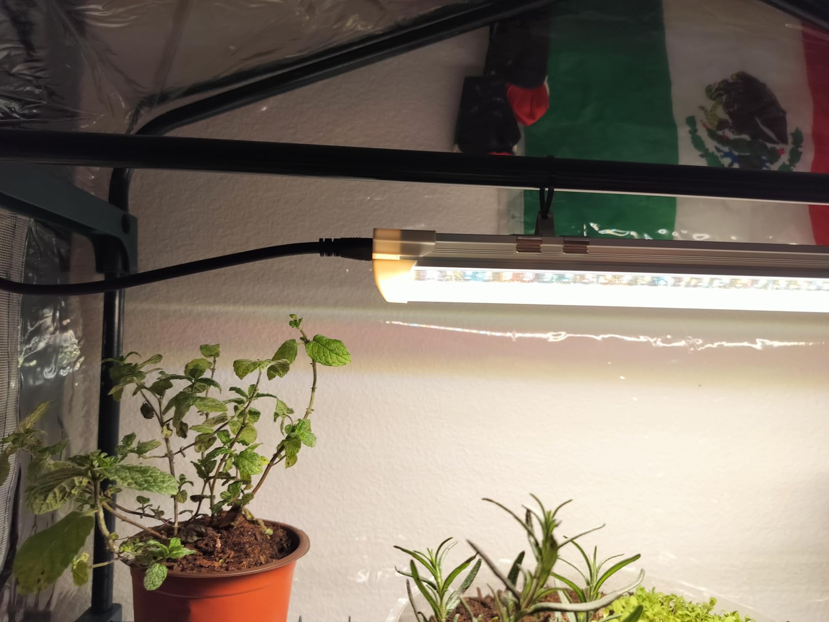 Bstrip Indoor Greenhouse with Grow Light, 4-Tier Mini Greenhouse Indoor customer photo 1