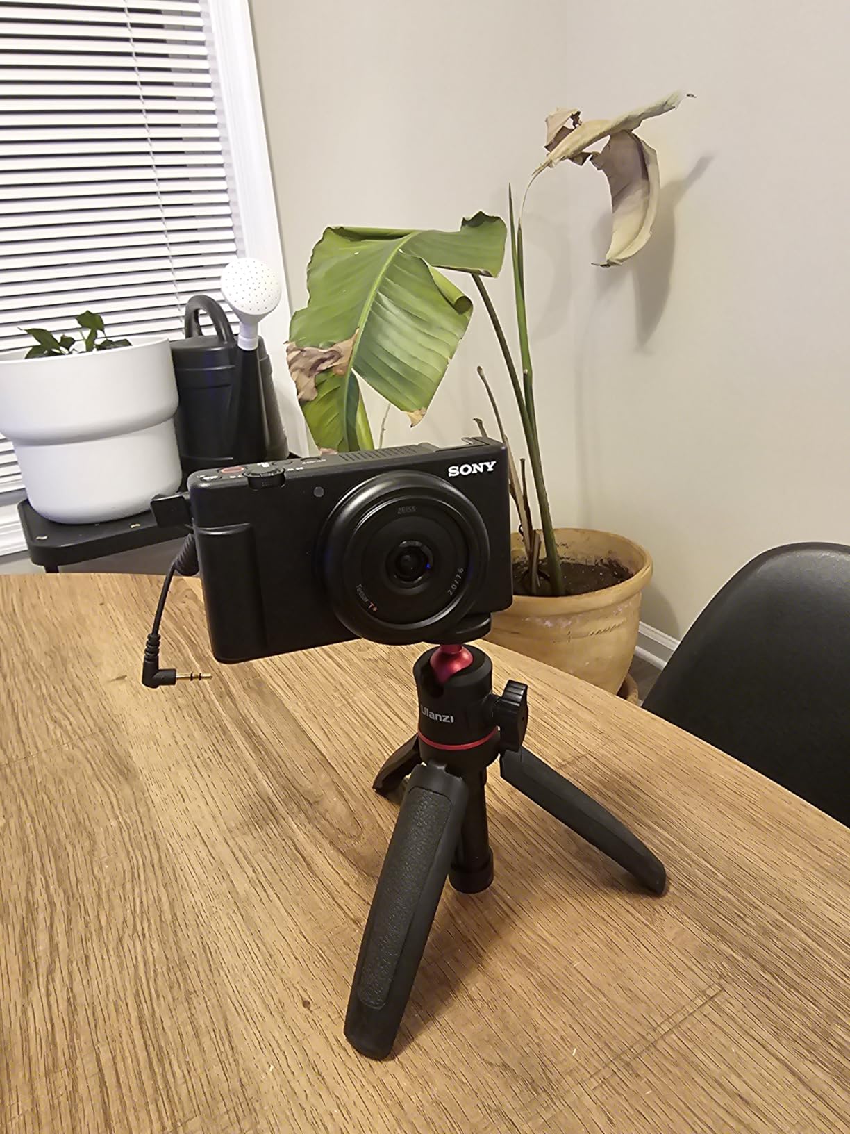 Sony ZV-1F Compact Digital Camera 4K Video Black customer photo 2