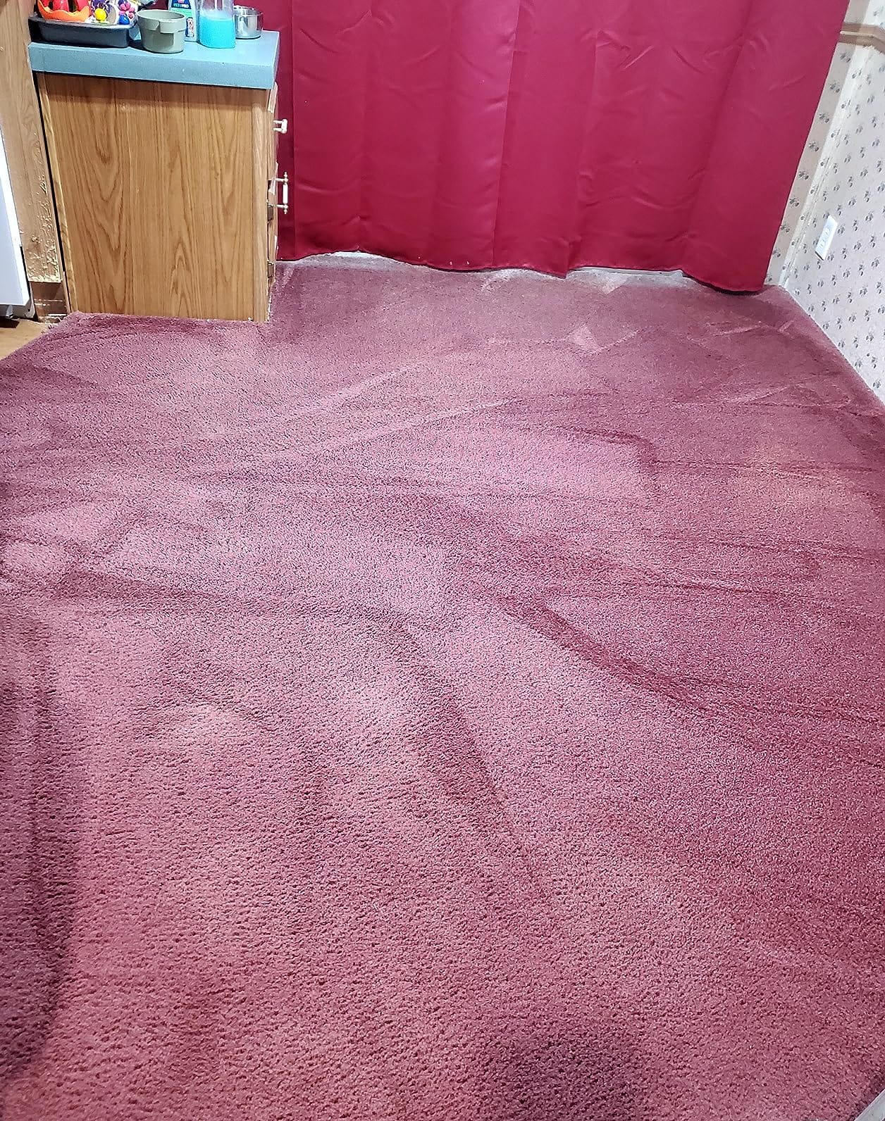 BISSELL Revolution HydroSteam Pet Carpet Cleaner, 3432 customer photo 2