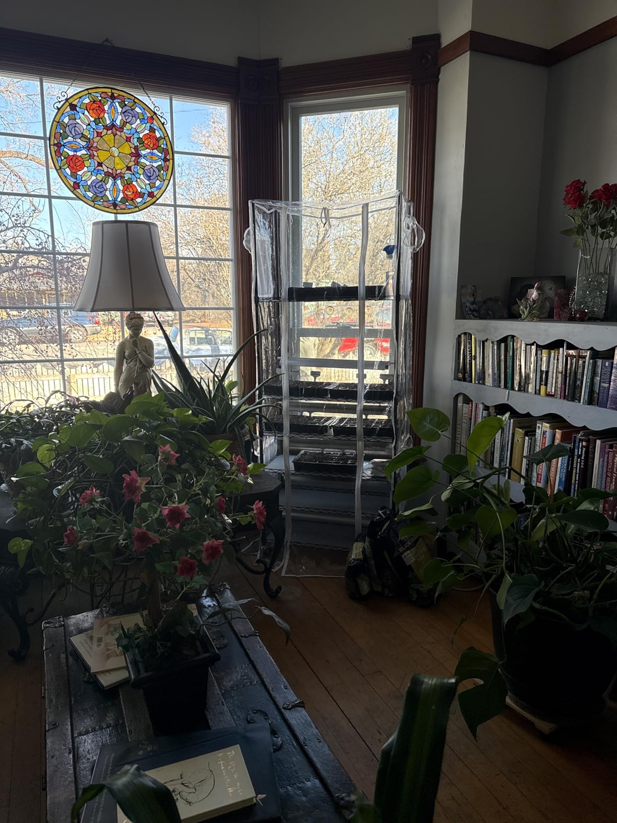 Bstrip 6-Tier Indoor Greenhouse with Grow Light, 29.5x13.8x71in customer photo 2