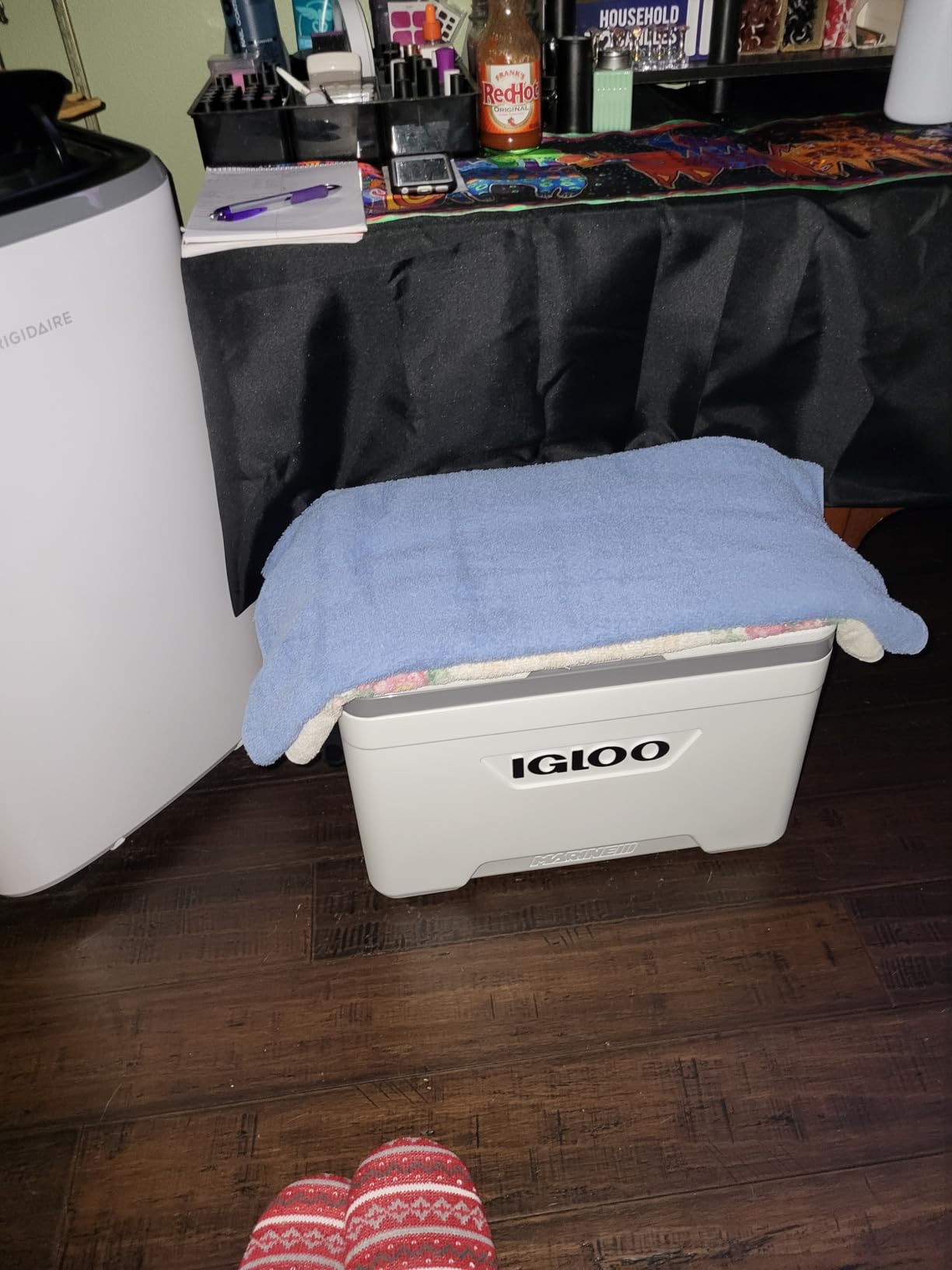 Igloo Marine Cooler | Insulated Hard Shell Ice Chest |Great for Fishing, Camping, Boating, & More customer photo 1