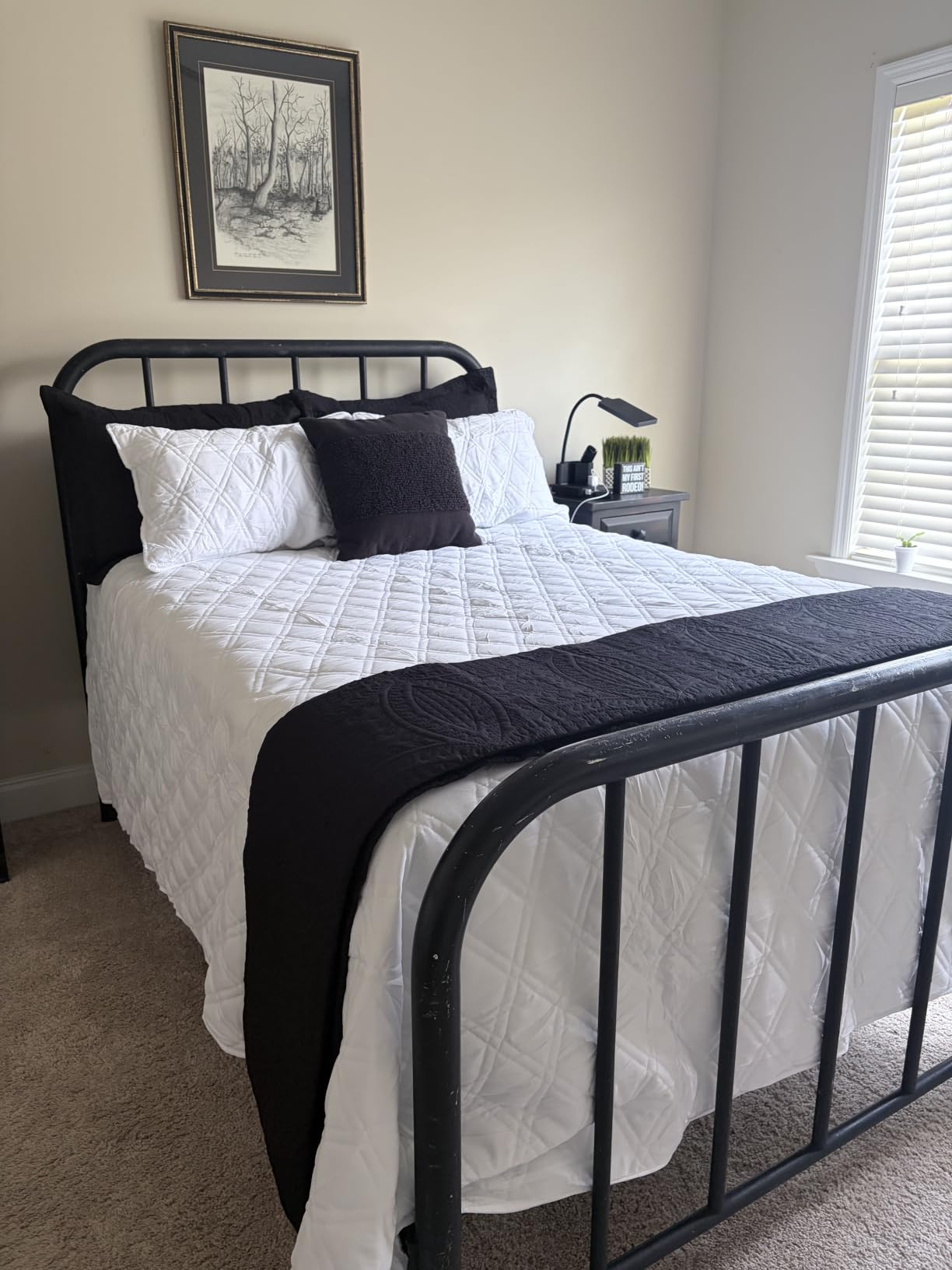 Love's cabin Quilts for Queen Bed Sage Bedspreads - Soft Bed Summer Lightweight Bedspread Comforter - Modern Style Coin Pattern Coverlet for All Season - 3 Pieces (1 Quilt, 2 Pillow Shams) customer photo 2