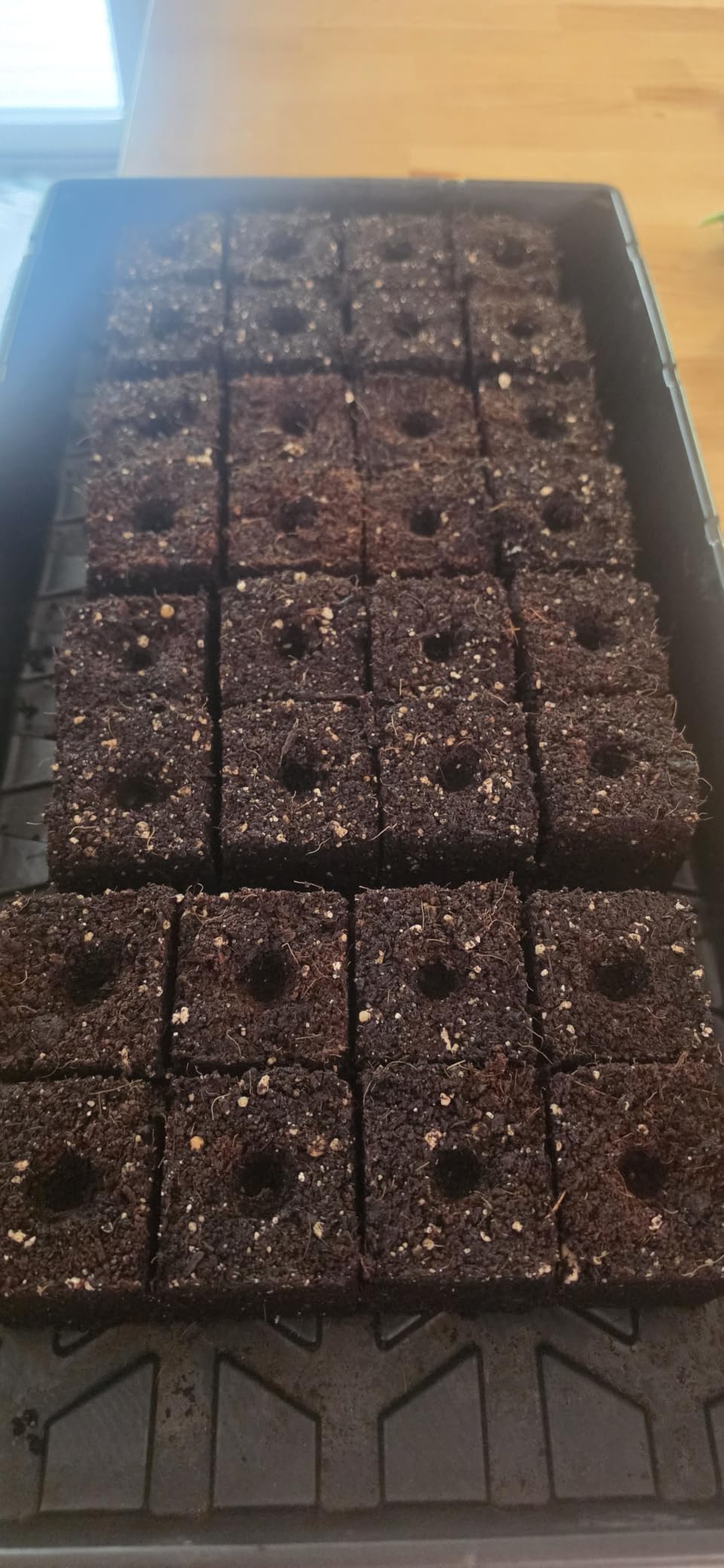 BlumWay Soil Blocker, 8 Cell 2 inch Soil Block Maker for Seed Starting customer photo 2