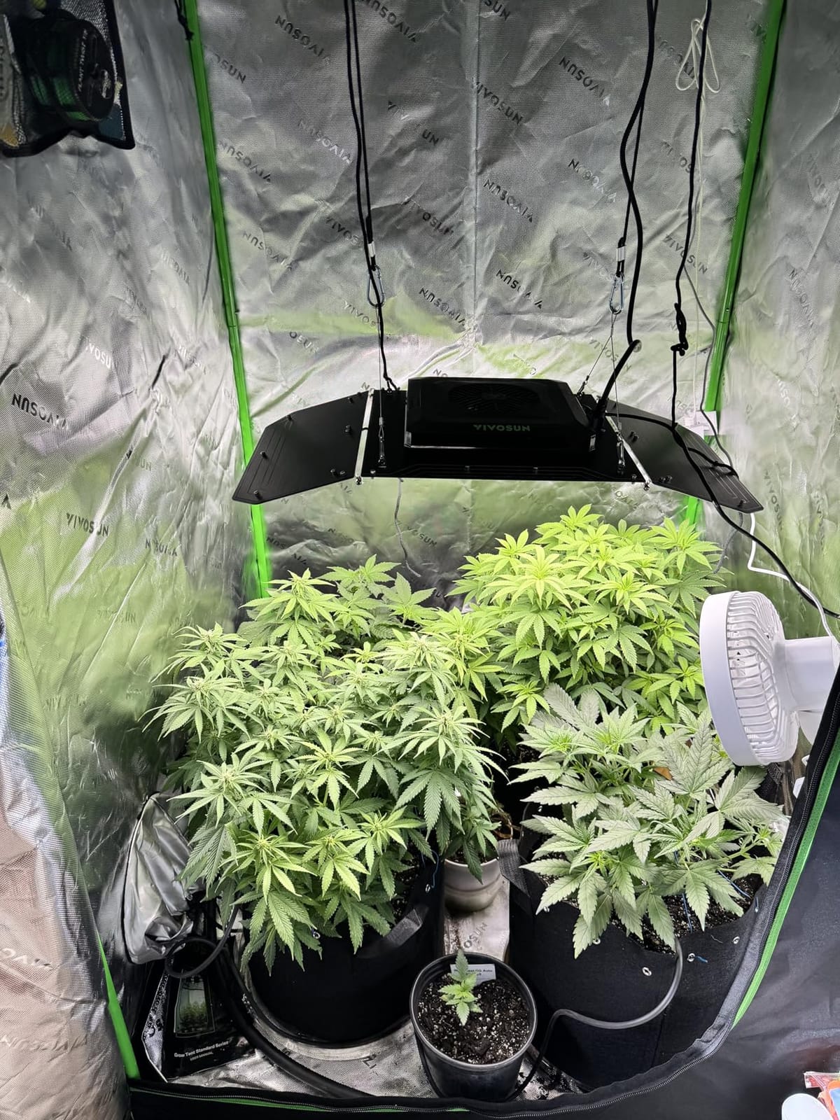 VIVOSUN Smart Grow Tent Kit 2x2, 1-Plant WiFi-Integrated Grow Kit System customer photo 1