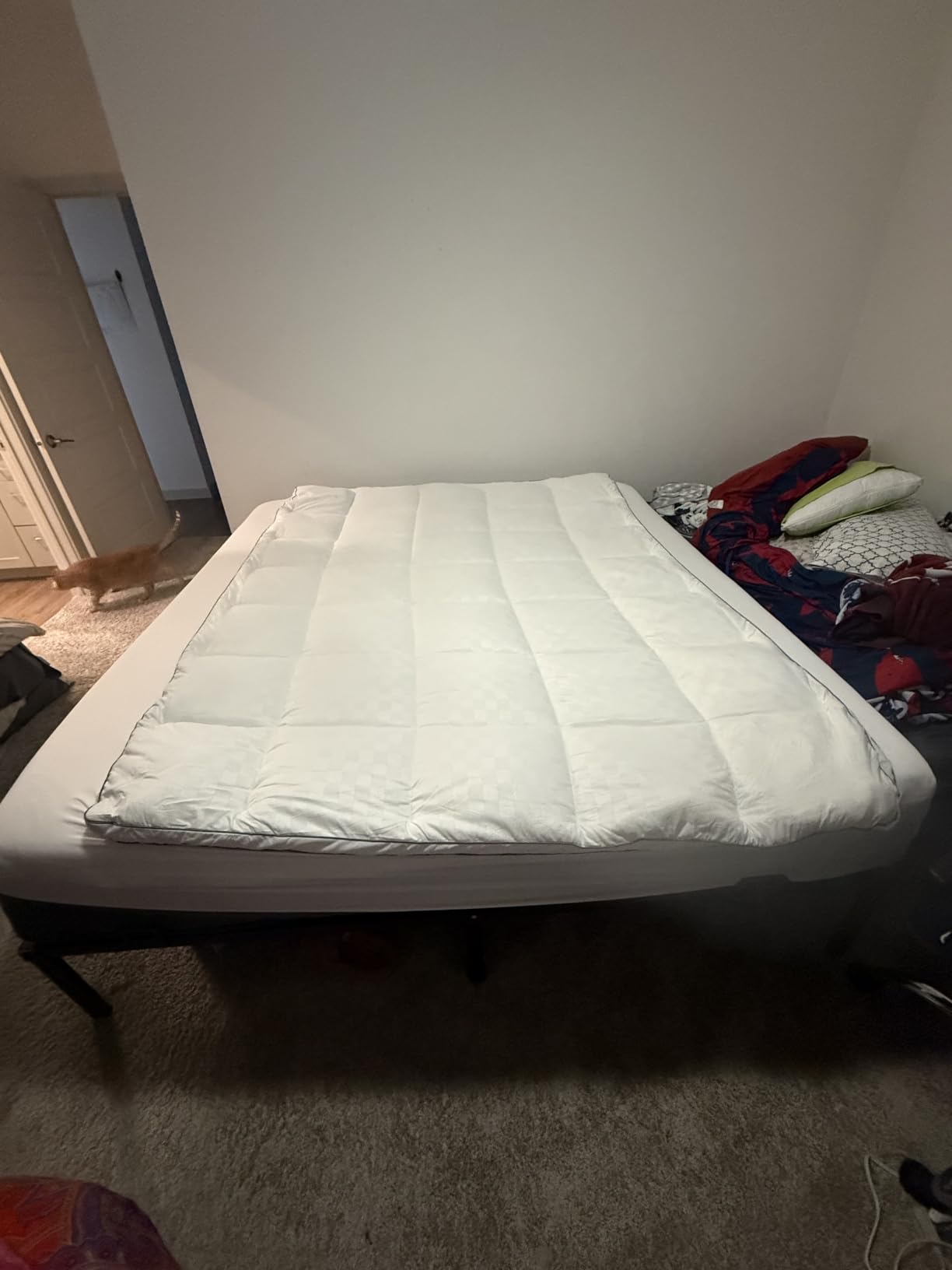 SameBed Mattress Topper Queen, Extra Thick Mattress Pad Cover for Back Pain, Cooling Mattress Protector with 8-21 Inch Deep Pocket, Overfilled Down Alternative Filling customer photo 1