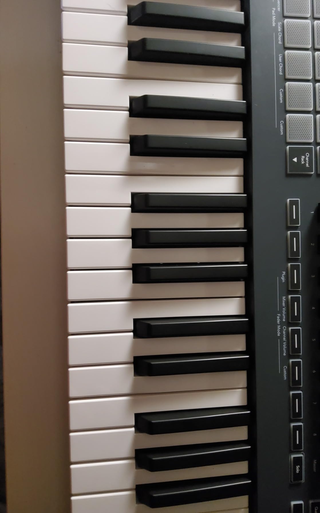 Novation FLkey 49 USB MIDI Controller Keyboard customer photo 1