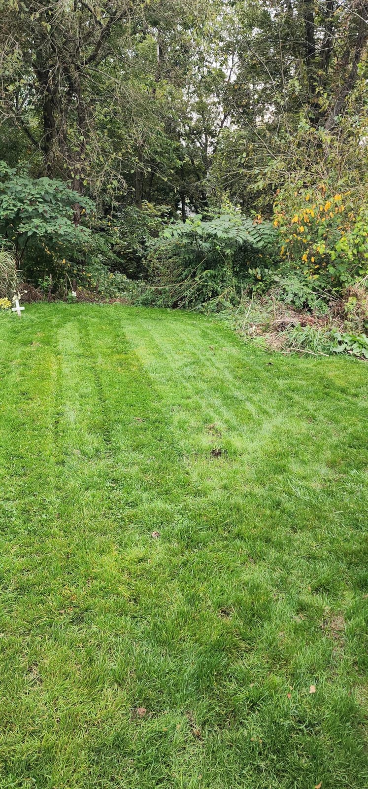 Greenworks 60V 21in Push Lawn Mower, 5.0 Ah Battery and Charger customer photo 1