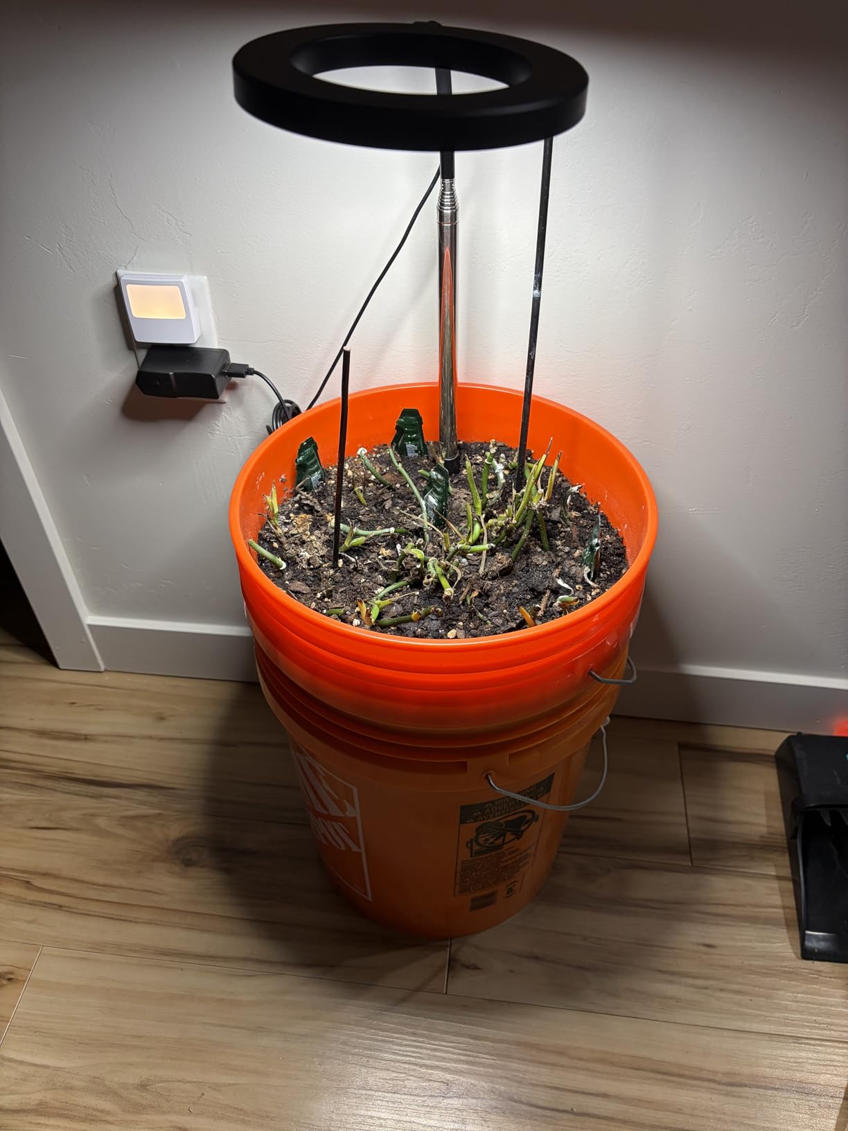 Aokrean Grow Lights for Indoor Plants, Full Spectrum Plant Light with Base customer photo 1