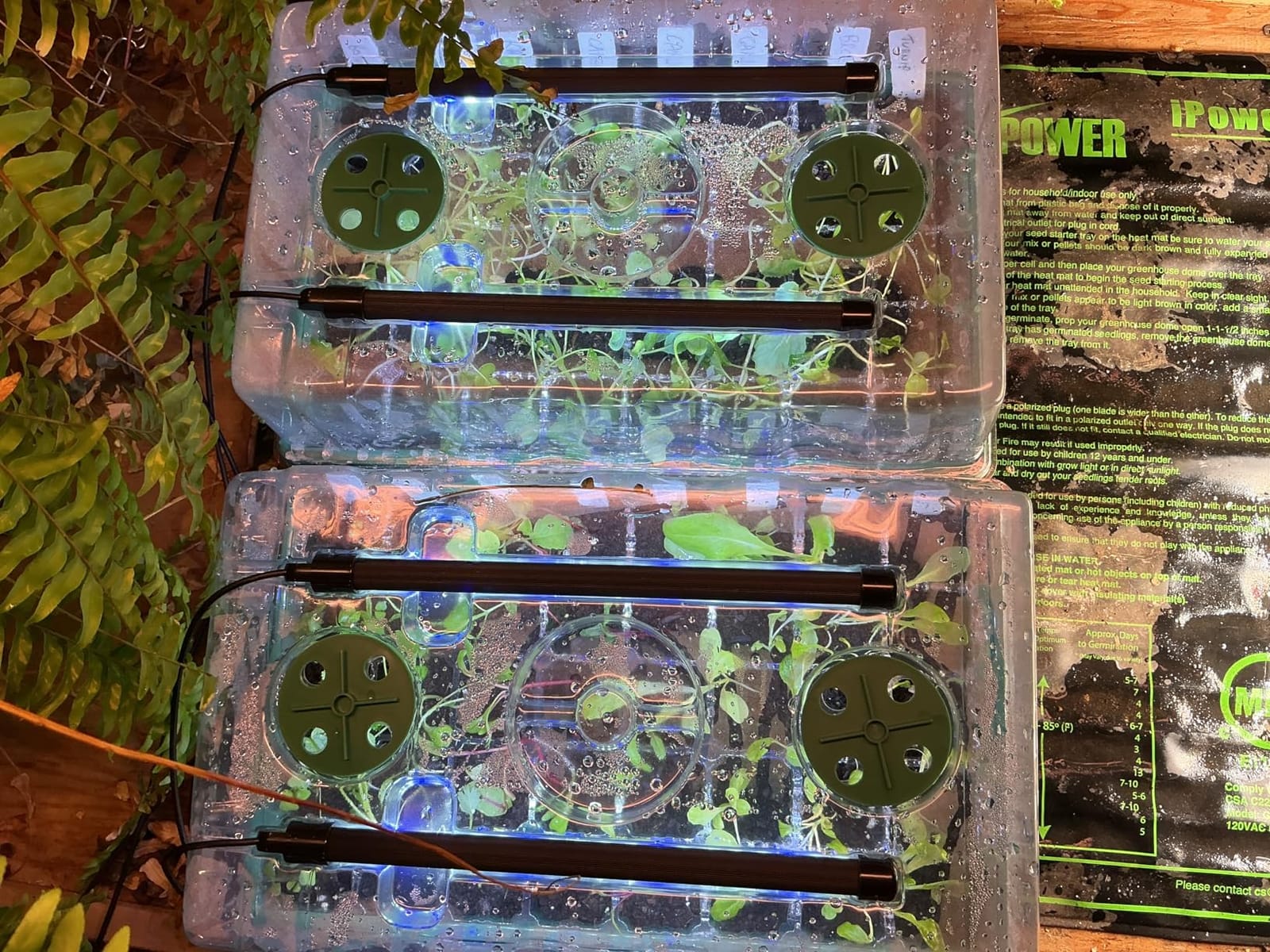 Sondiko Seed Starter Tray with Grow Light, 80 Cells Starter Kit customer photo 2