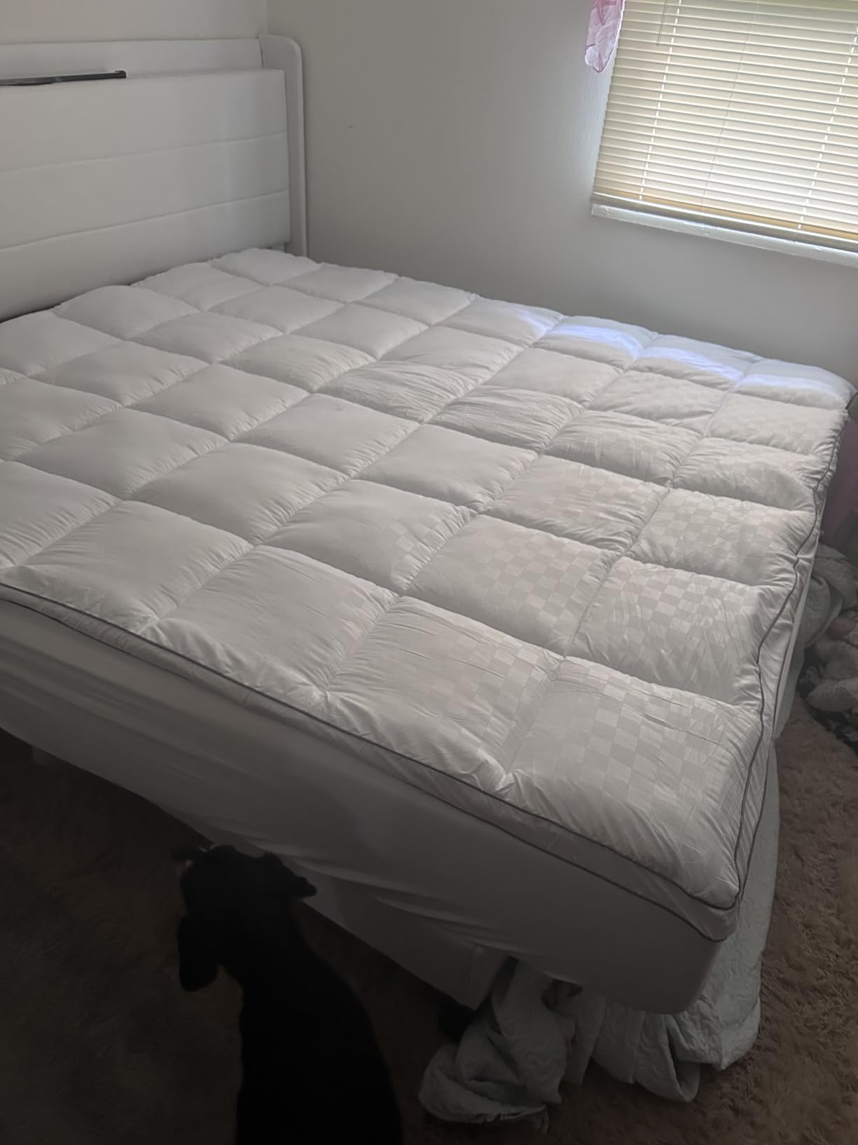 SameBed Mattress Topper Queen, Extra Thick Mattress Pad Cover for Back Pain, Cooling Mattress Protector with 8-21 Inch Deep Pocket, Overfilled Down Alternative Filling, Grey customer photo 1