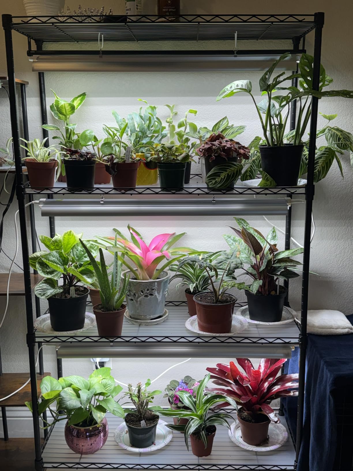 Barrina CX3 Plant Stand with Grow Light, 4-Tier, 108W, 35.4x13.8x70.9IN customer photo 2