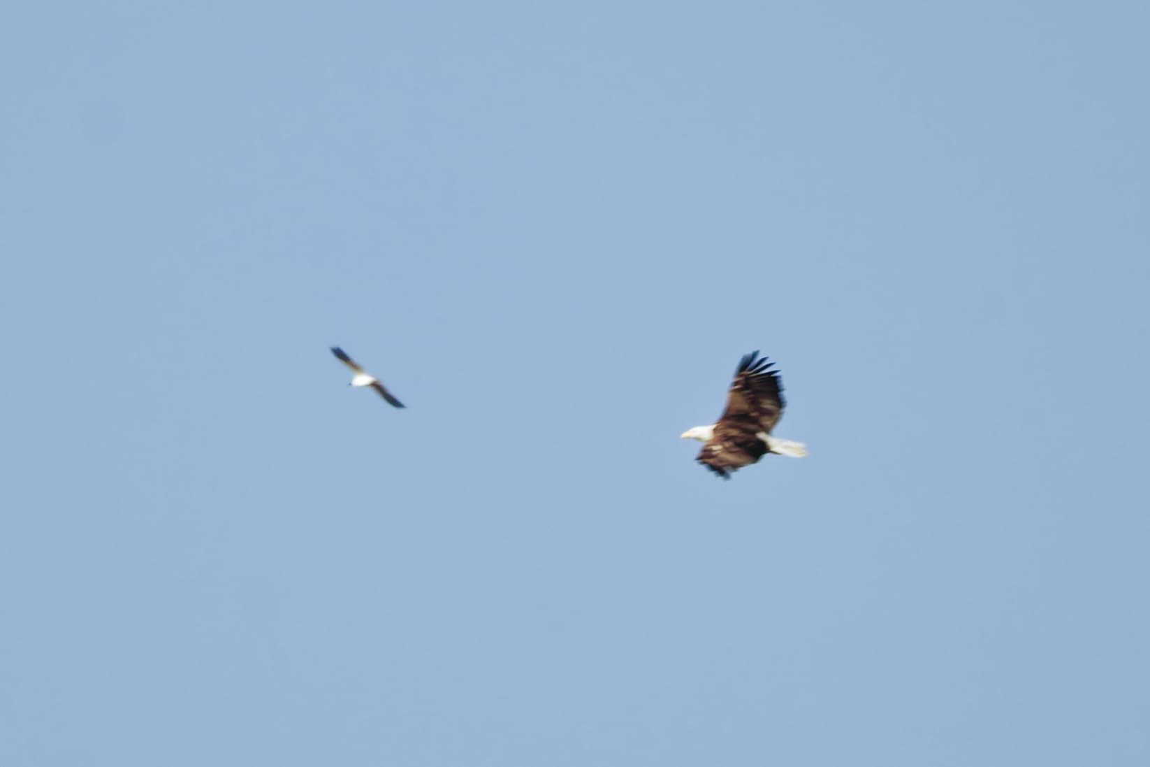 NIKON NIKKOR Z 180-600mm f/5.6-6.3 VR customer photo 1