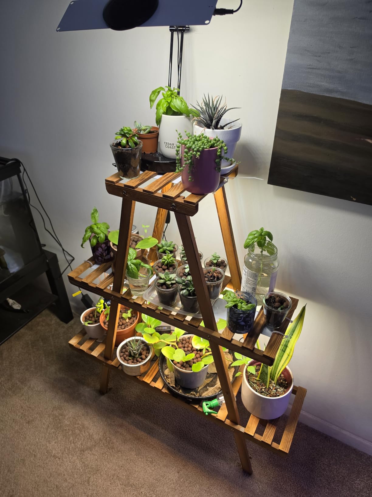 Grow Light,40W Ultra-Thin Panel Grow Lights for Indoor Plants,316LEDs Full Spectrum Grow Lights for Under Cabinet Plant, Grow Lamp with 3/9/12H Timer,10 Dimmable Levels for Plants Growing (4pcs) customer photo 2