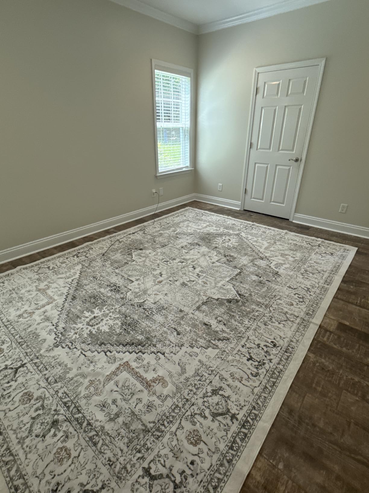 LIVEBOX Washable Area Rug 5x7 - Large Vintage Tribal Living Room Rug Vintage Non-Slip Indoor Rugs for Bedroom, Low-Pile Retro Carpet Print Distressed Accent Rugs for Nursery Entryway Office, Sage customer photo 1