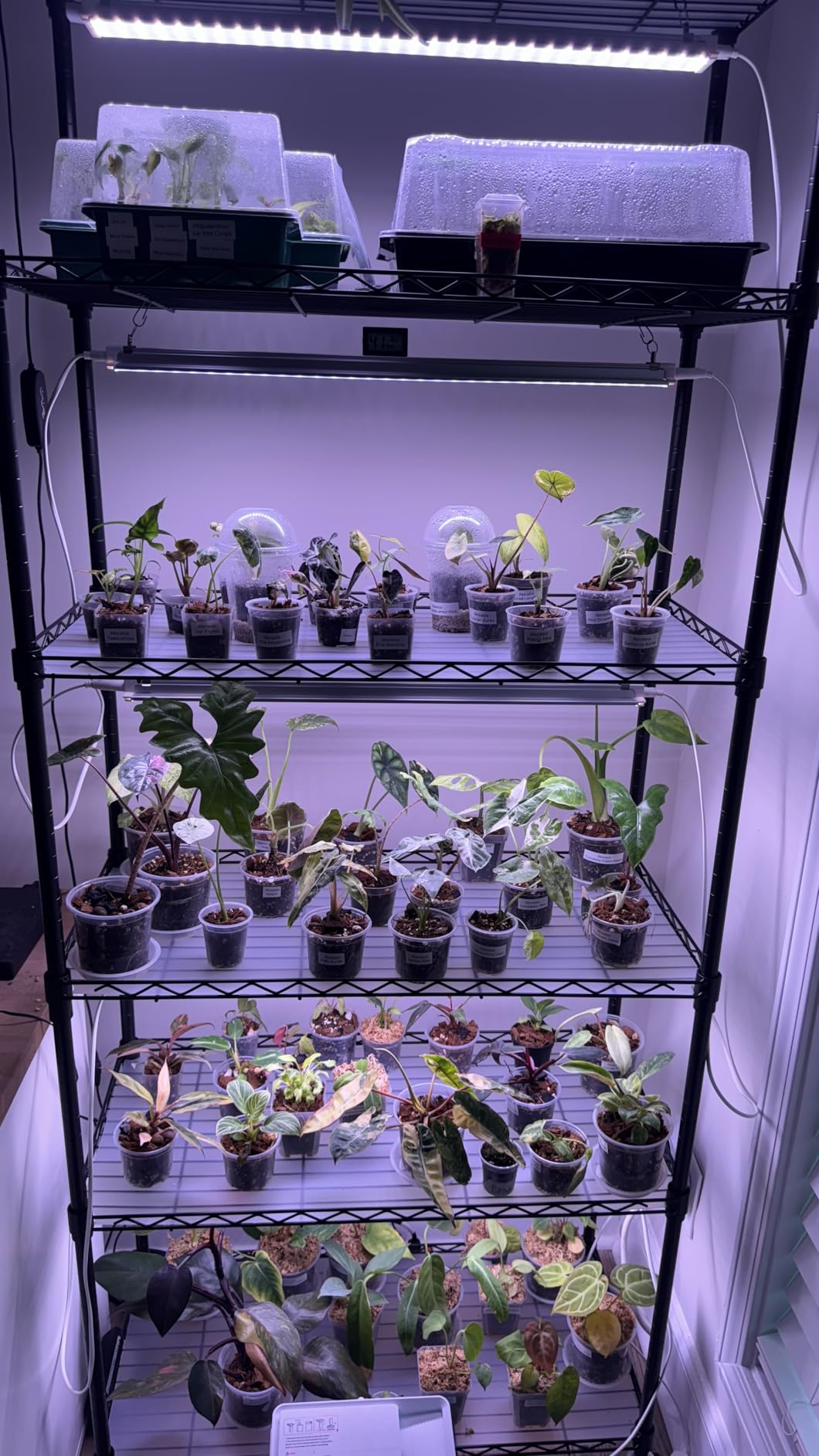 Barrina CX2 Plant Stand with Grow Lights, 6-Tier, 150W, 29.5x13.8x71IN customer photo 2